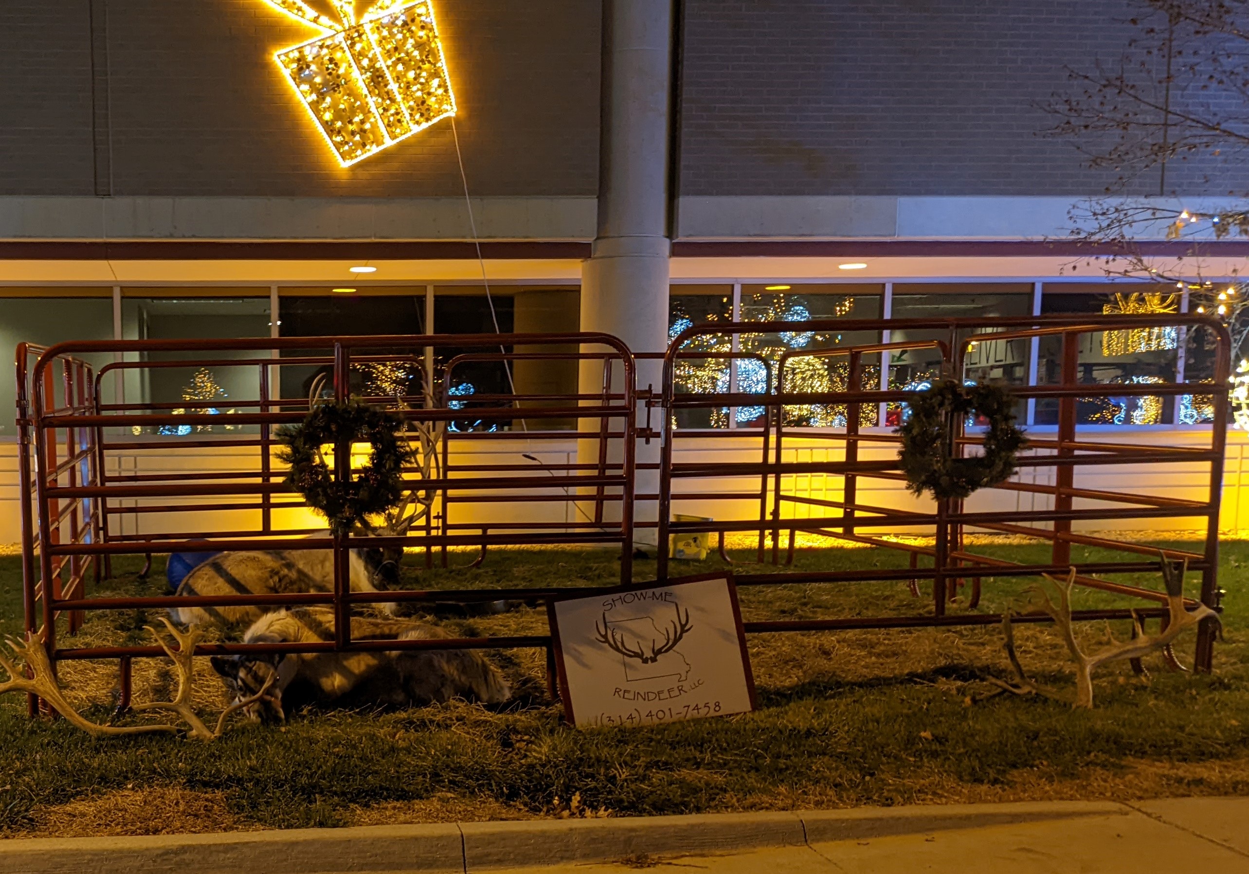 PXL 20211215 034034626Cropped