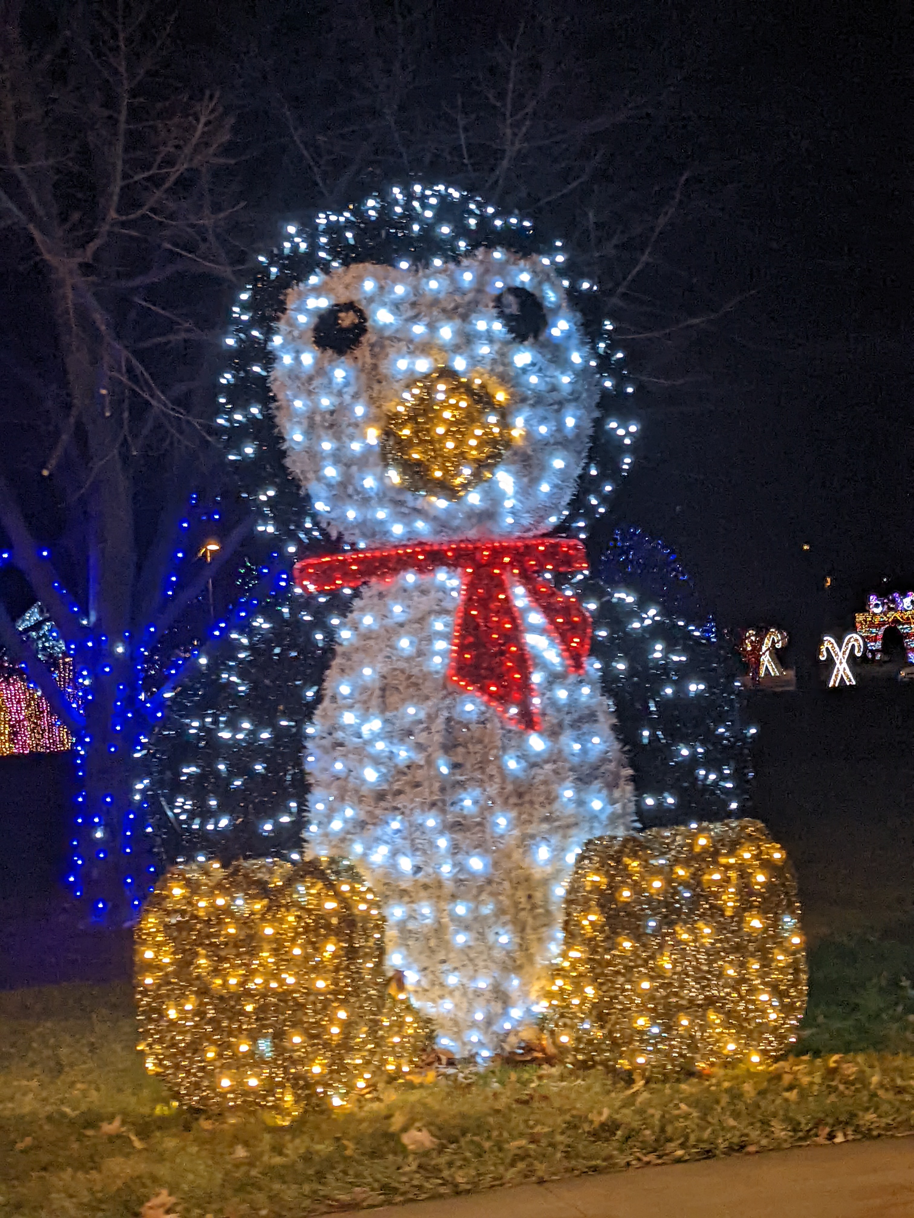 PXL 20211215 034323583