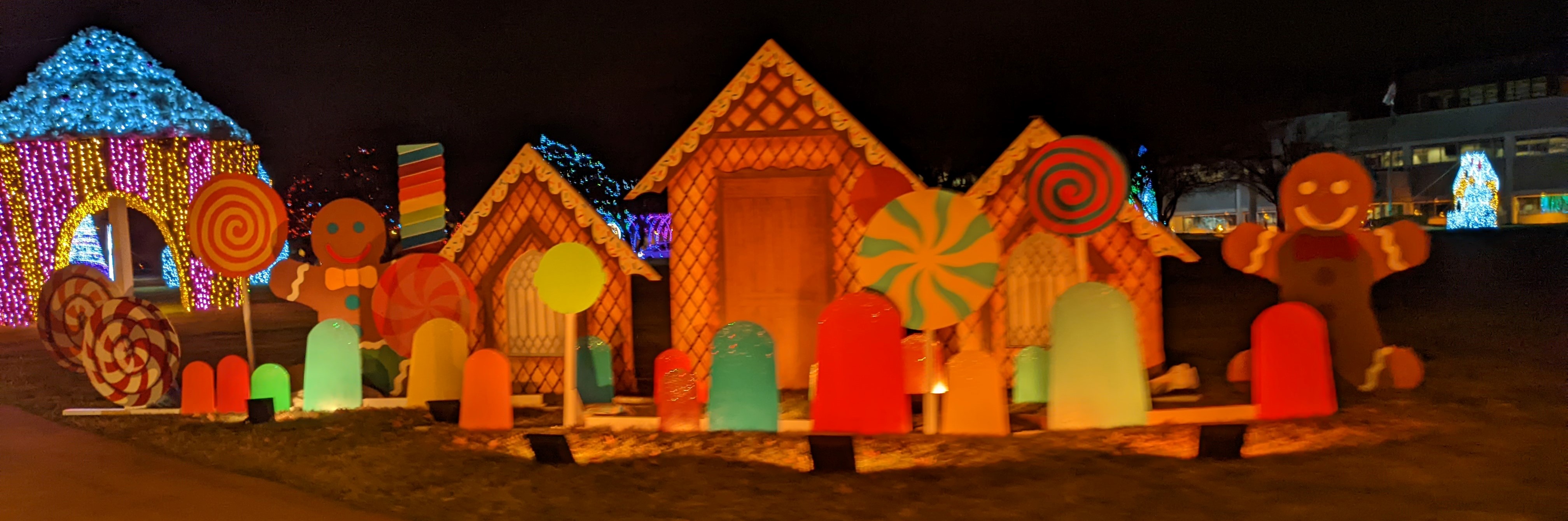 PXL 20211215 034430617Cropped