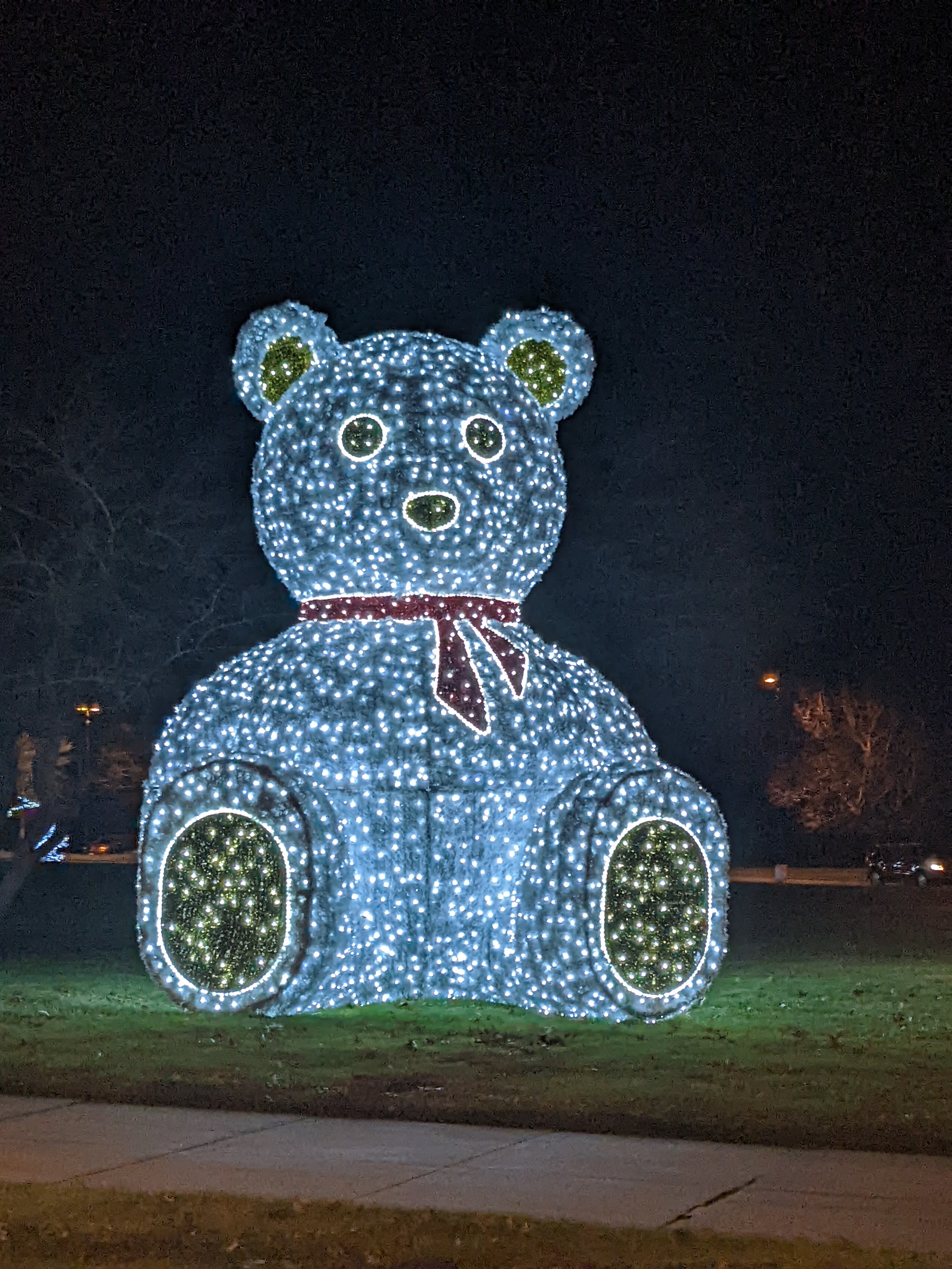 PXL 20211215 034500625