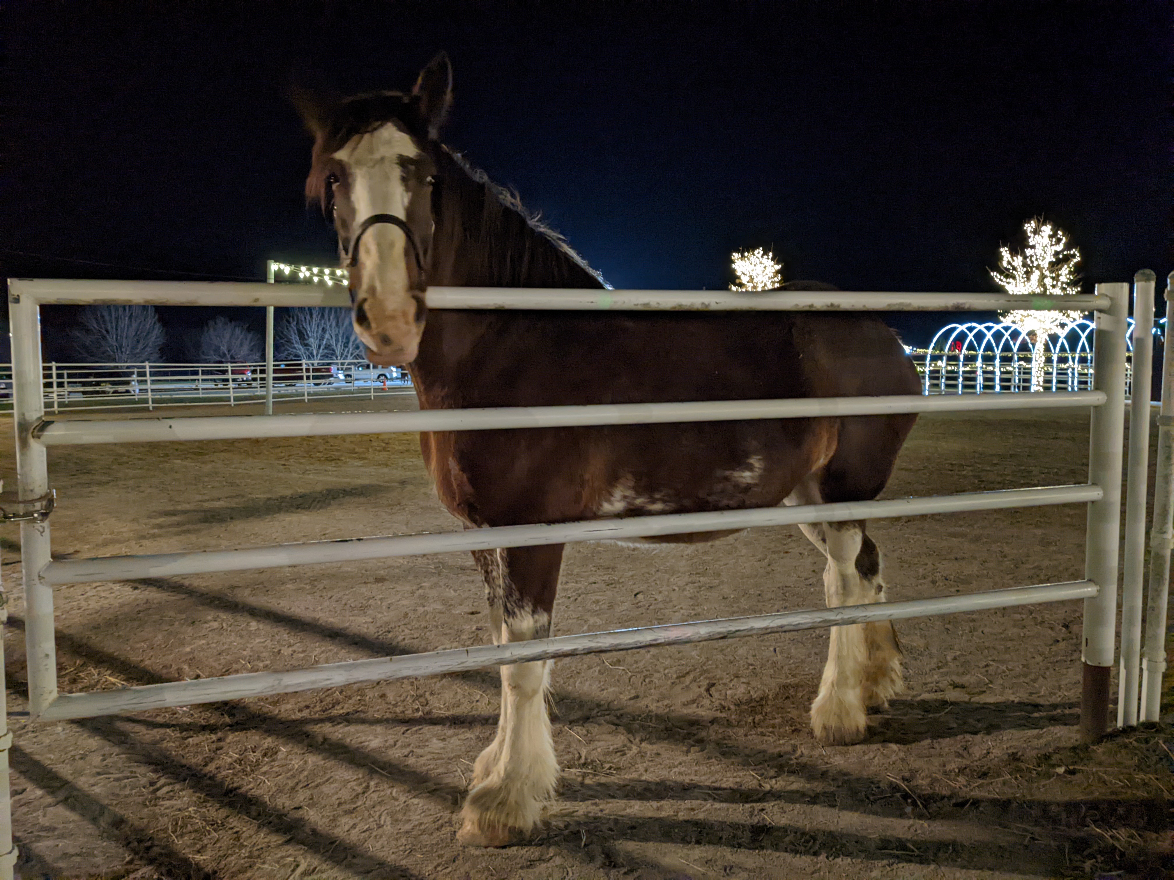 PXL 20211222 001520522