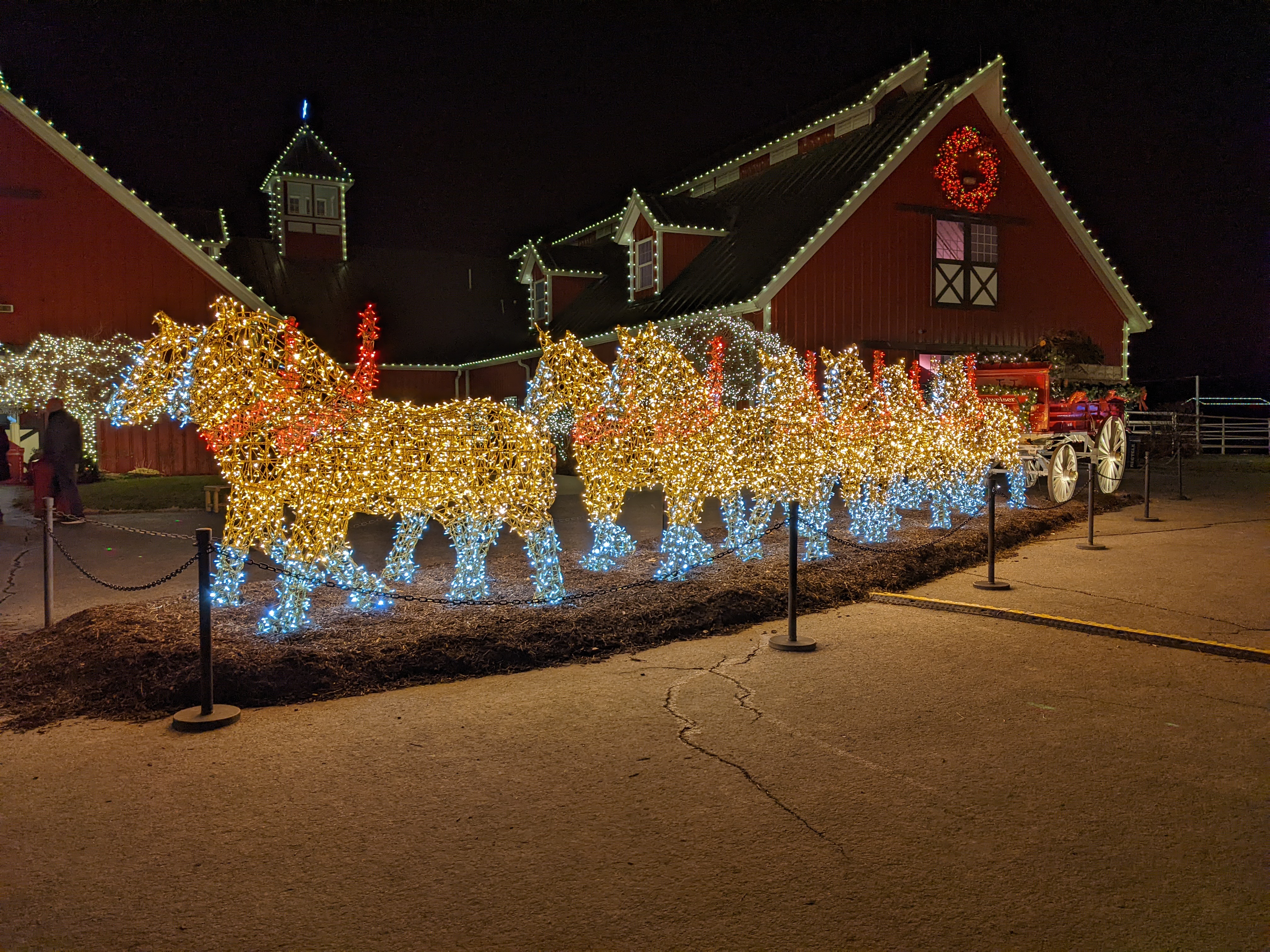 PXL 20211222 001820244