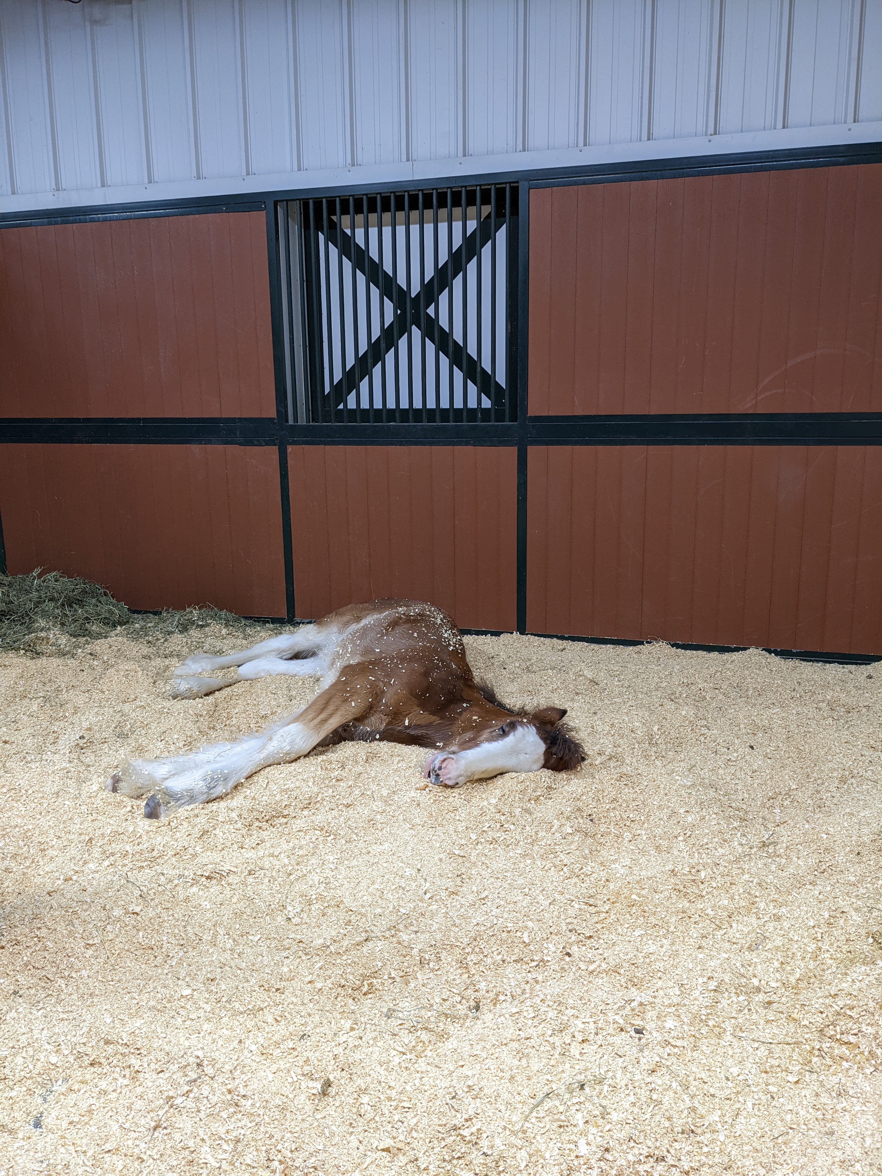 PXL 20211222 002547778