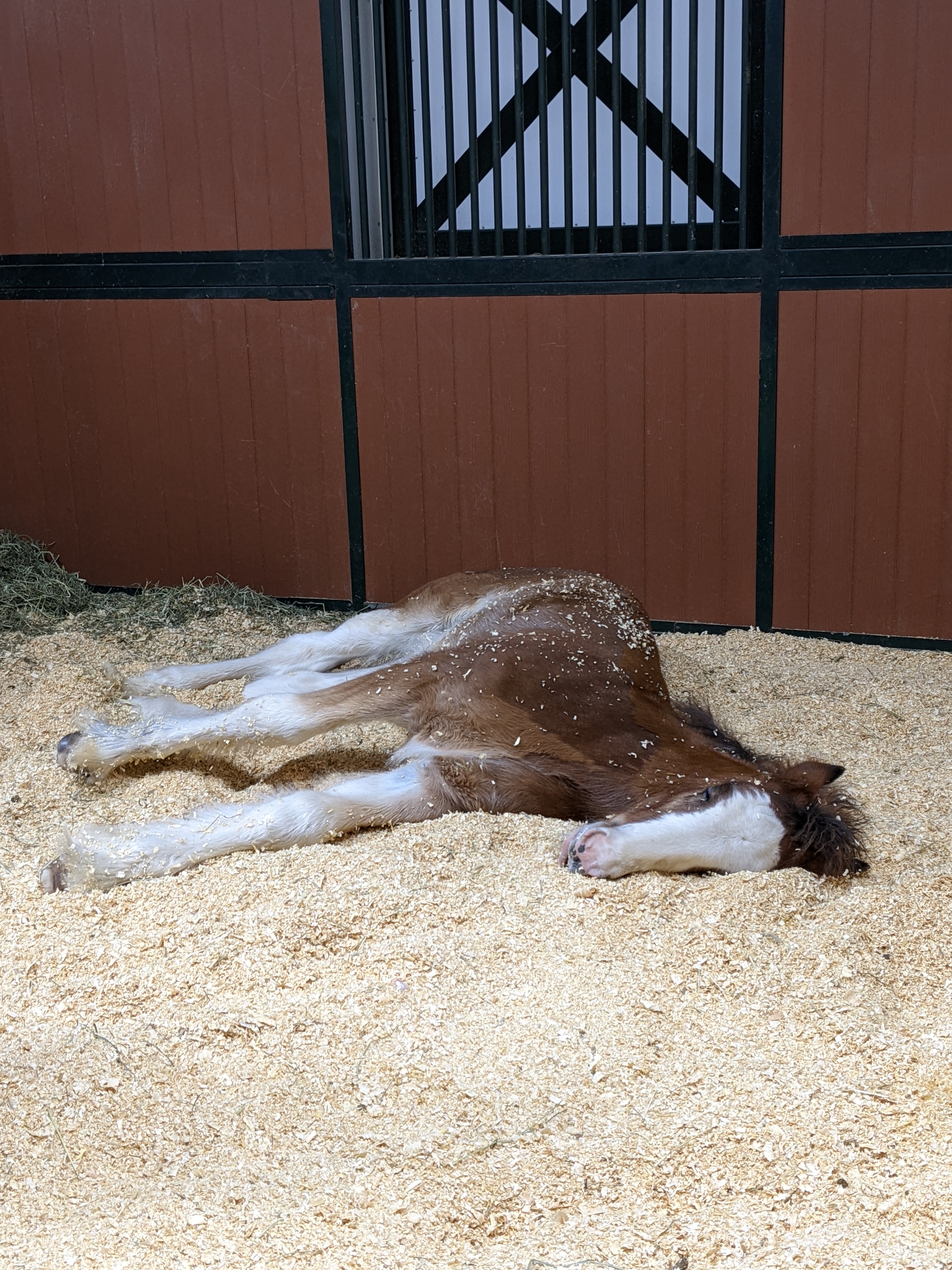 PXL 20211222 002556629