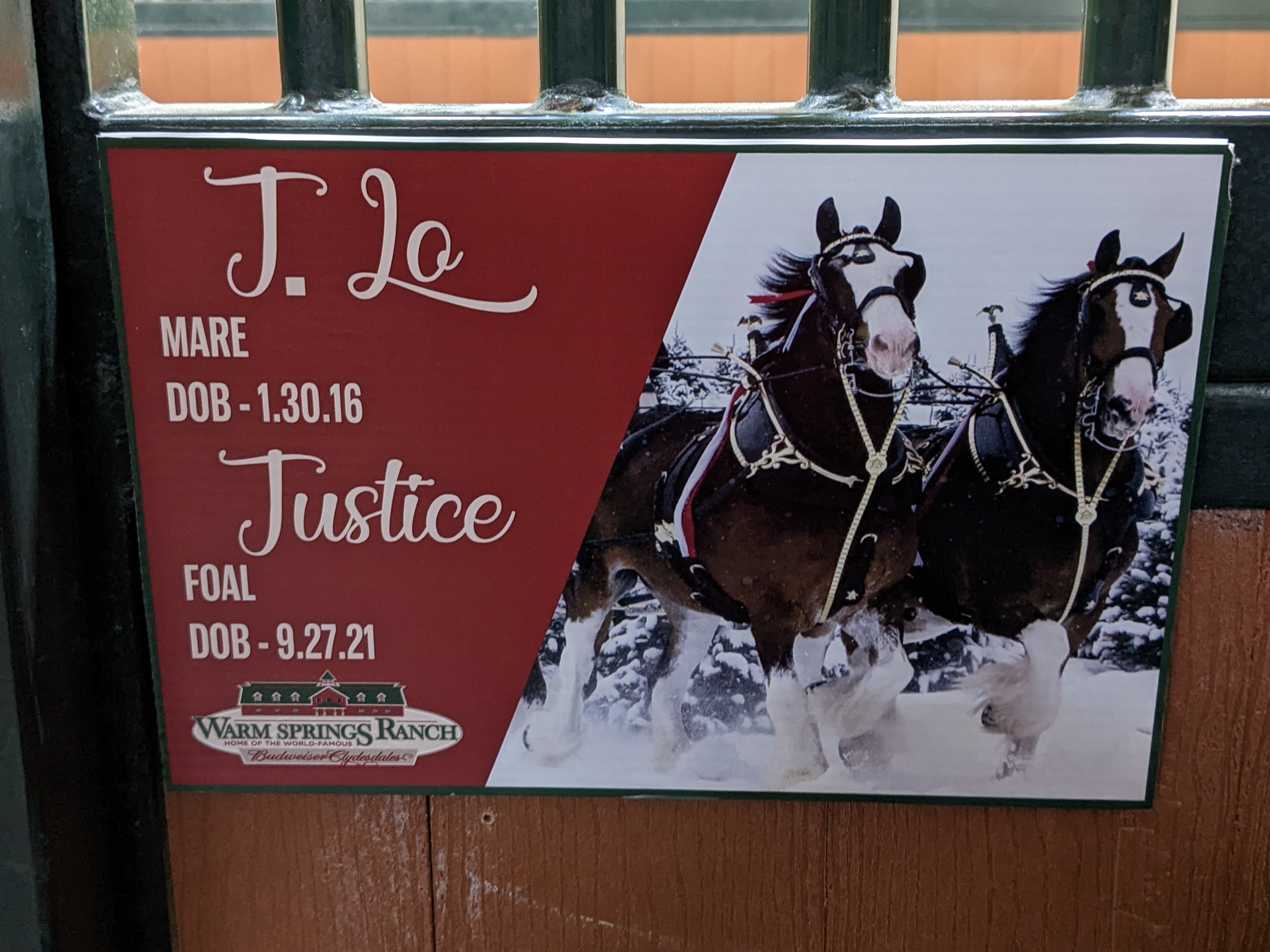 PXL 20211222 002605096