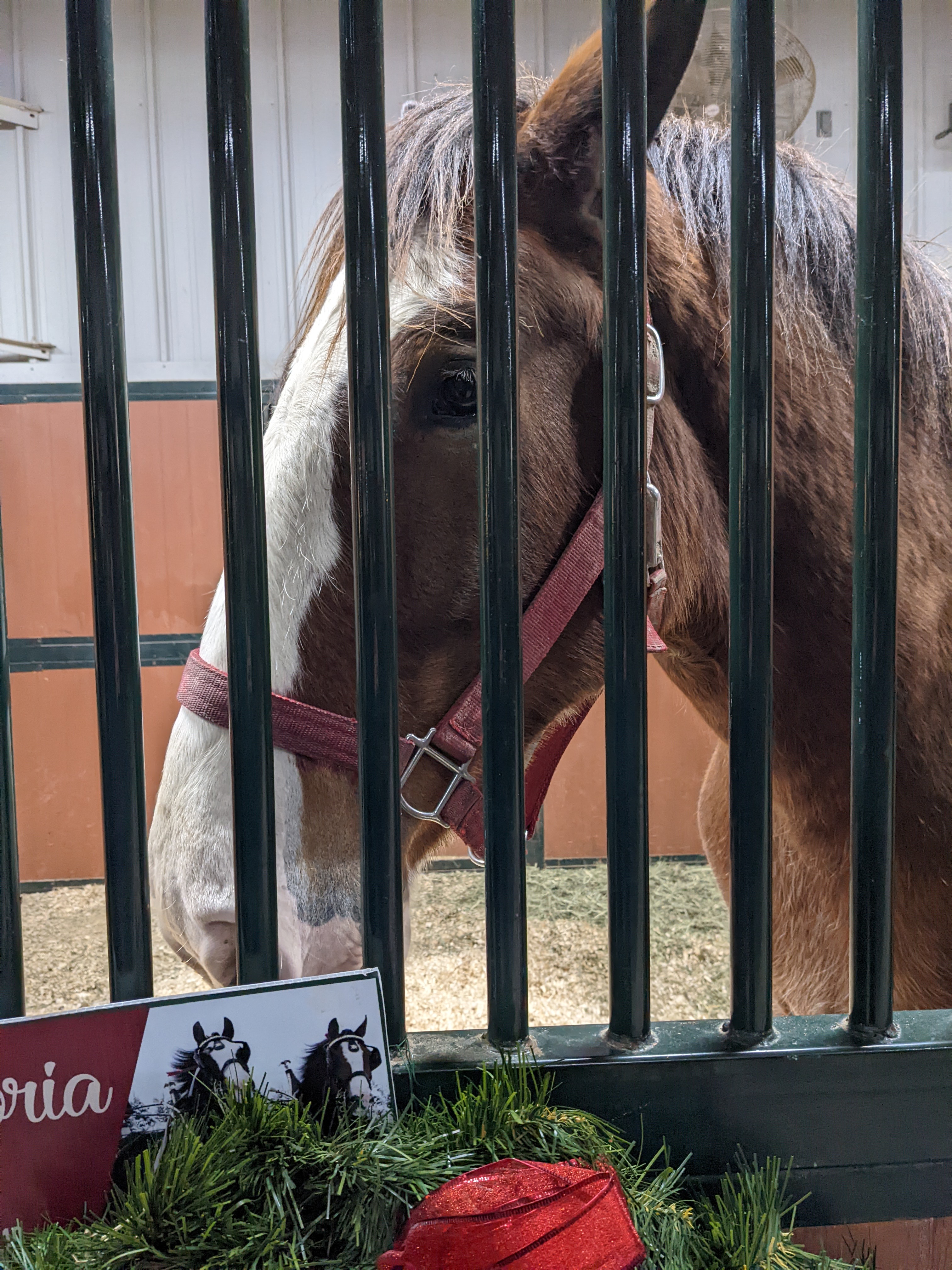 PXL 20211222 003156121