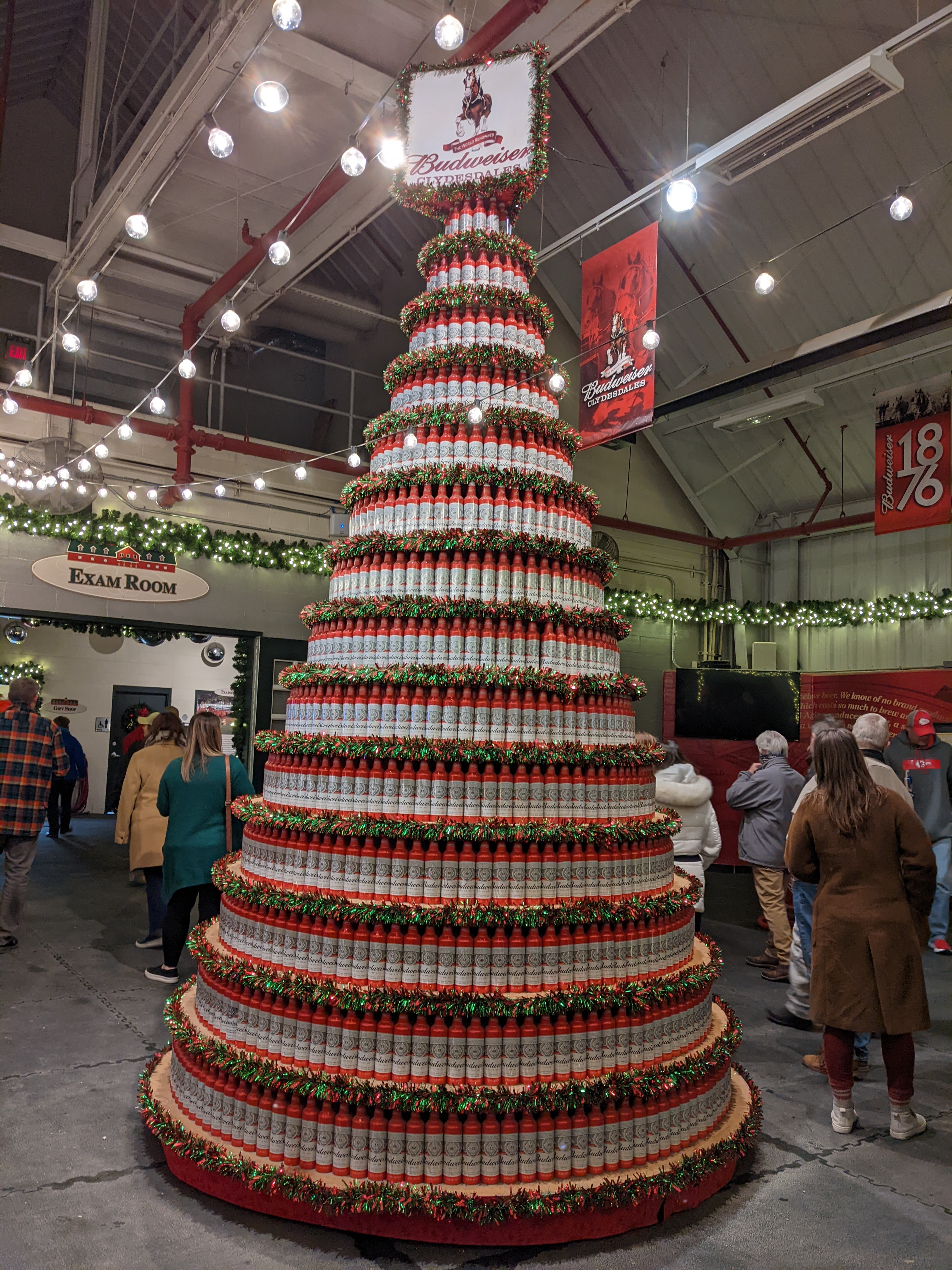 PXL 20211222 004112853