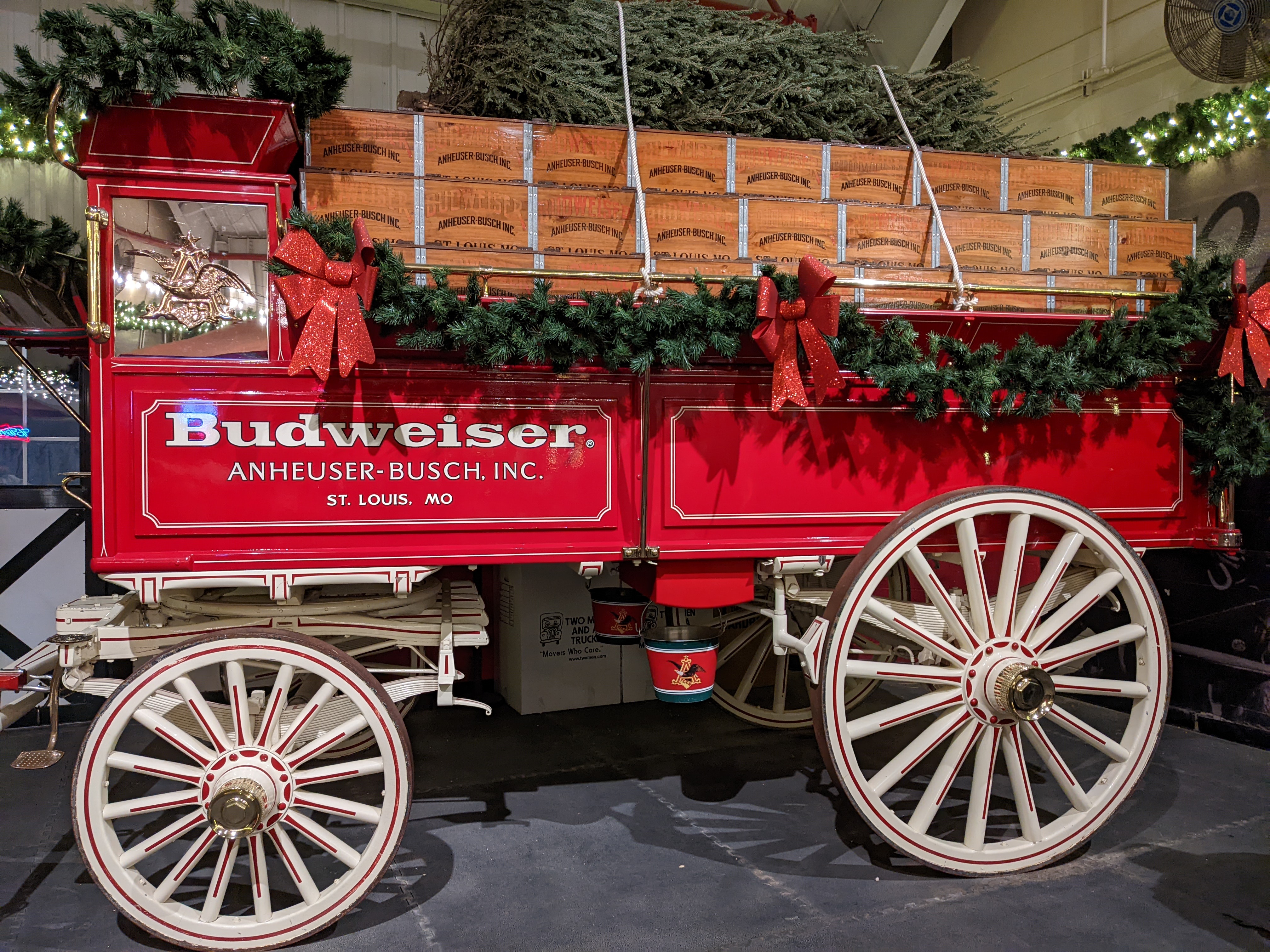 PXL 20211222 004249774