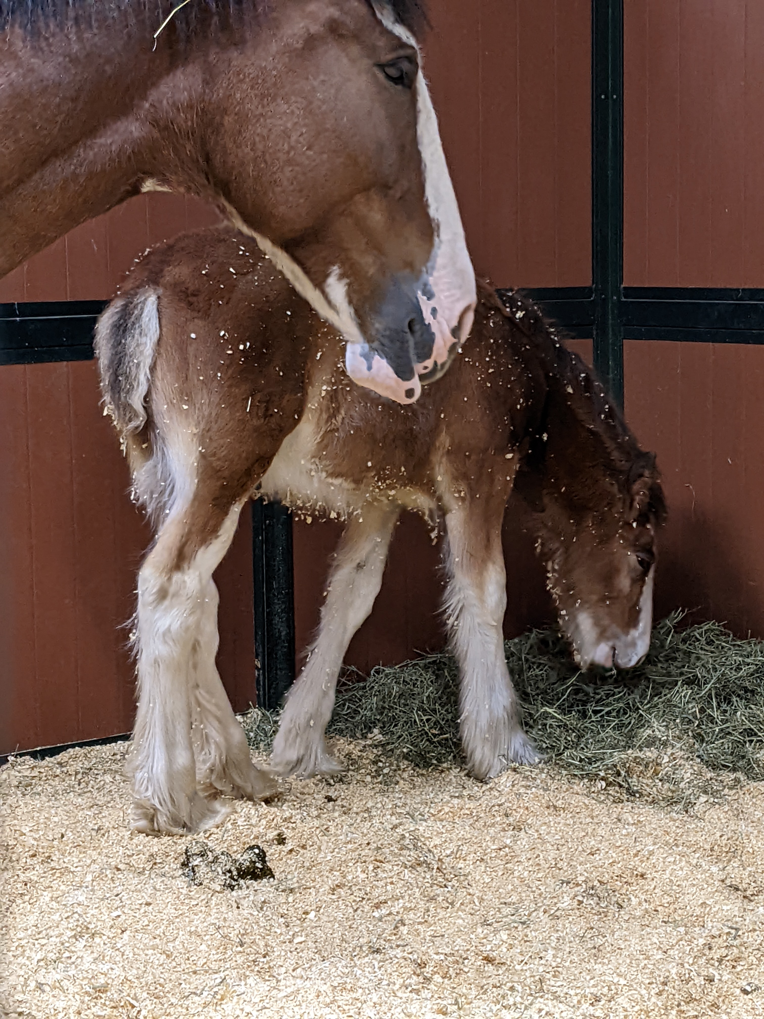 PXL 20211222 004858351