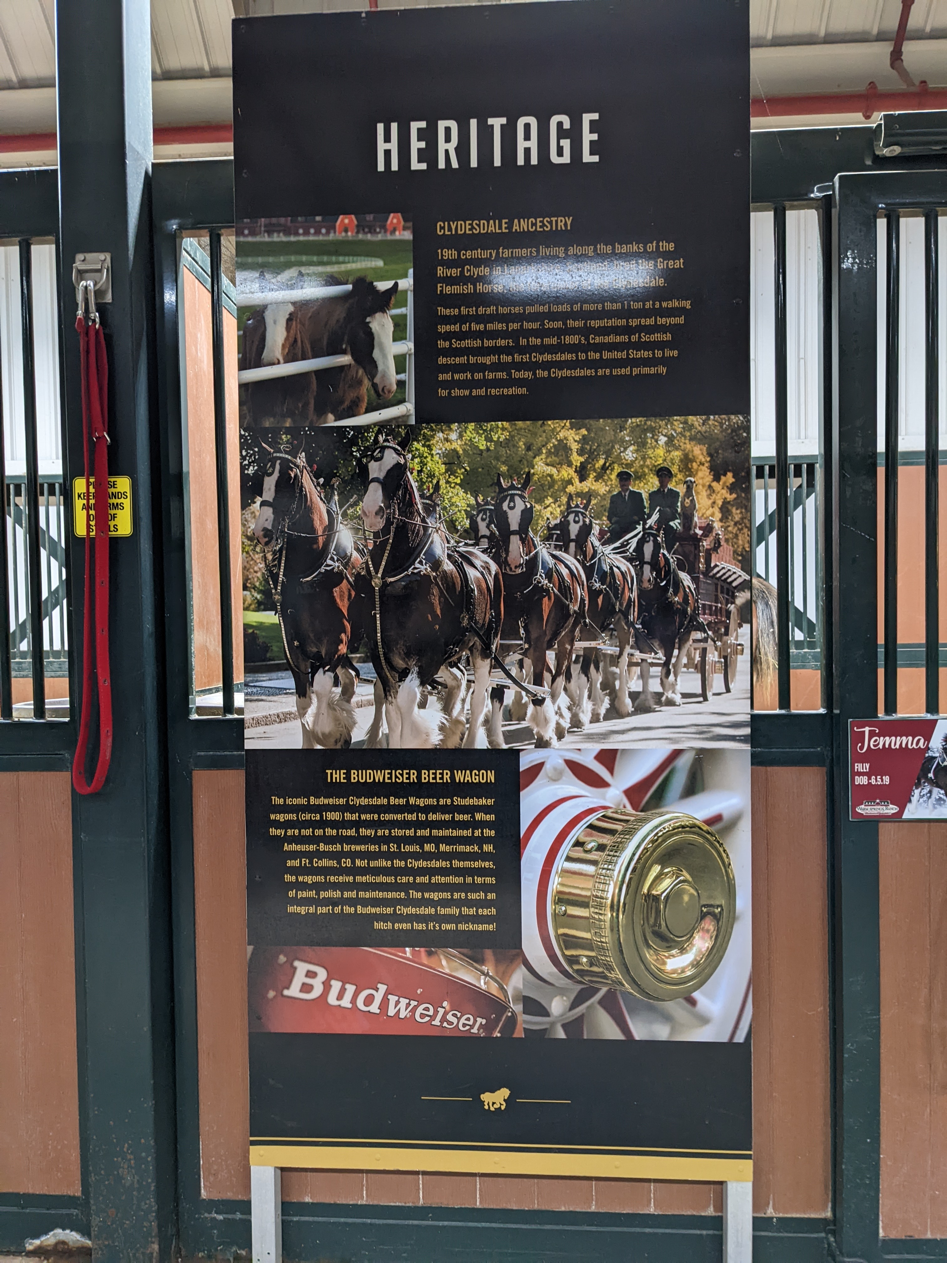 PXL 20211222 010809751