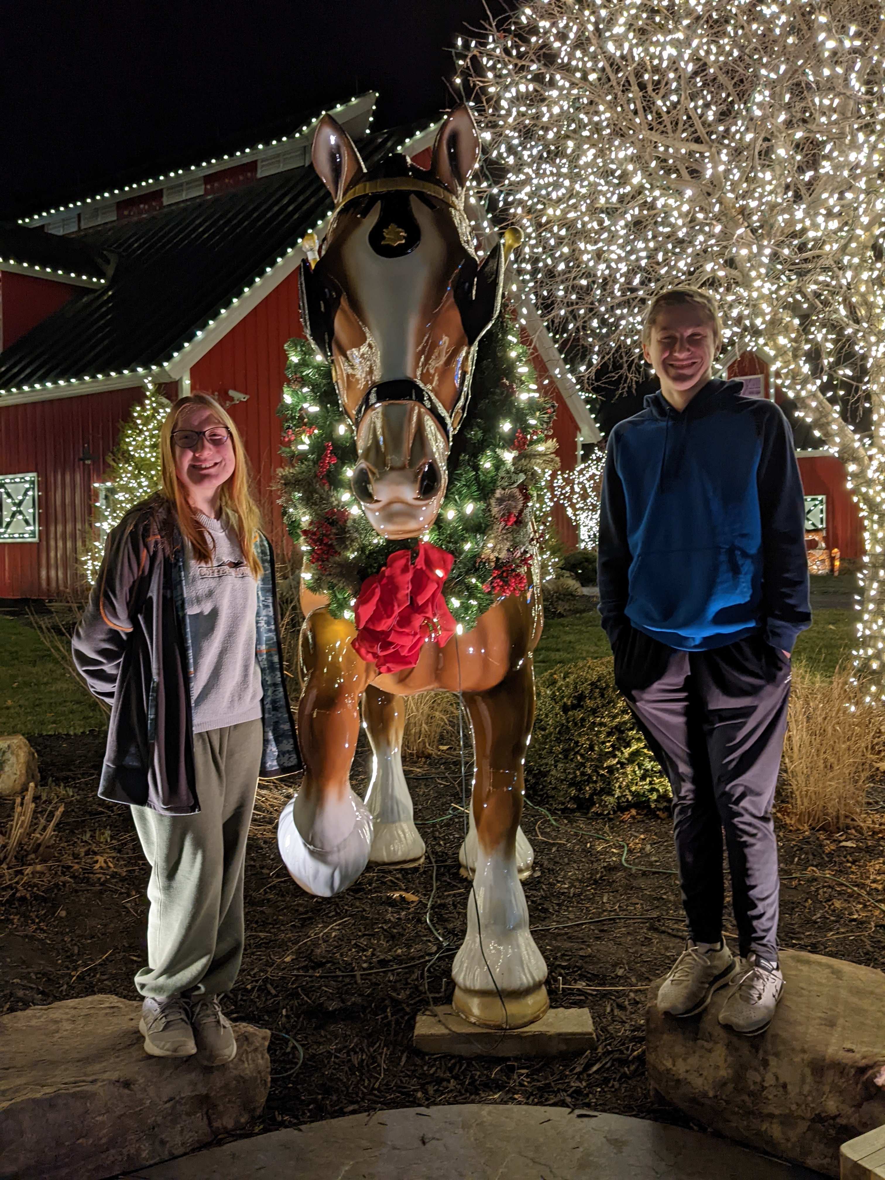 PXL 20211222 013955363