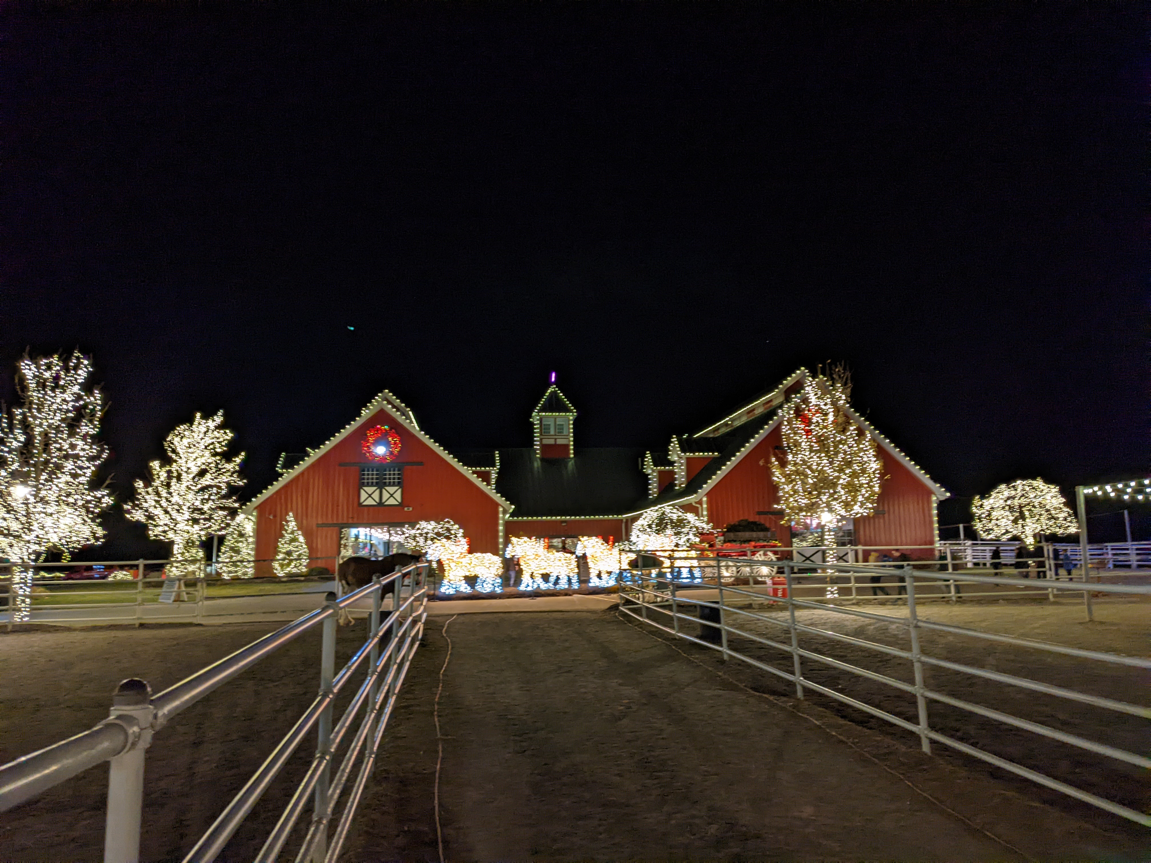 PXL 20211222 014852445