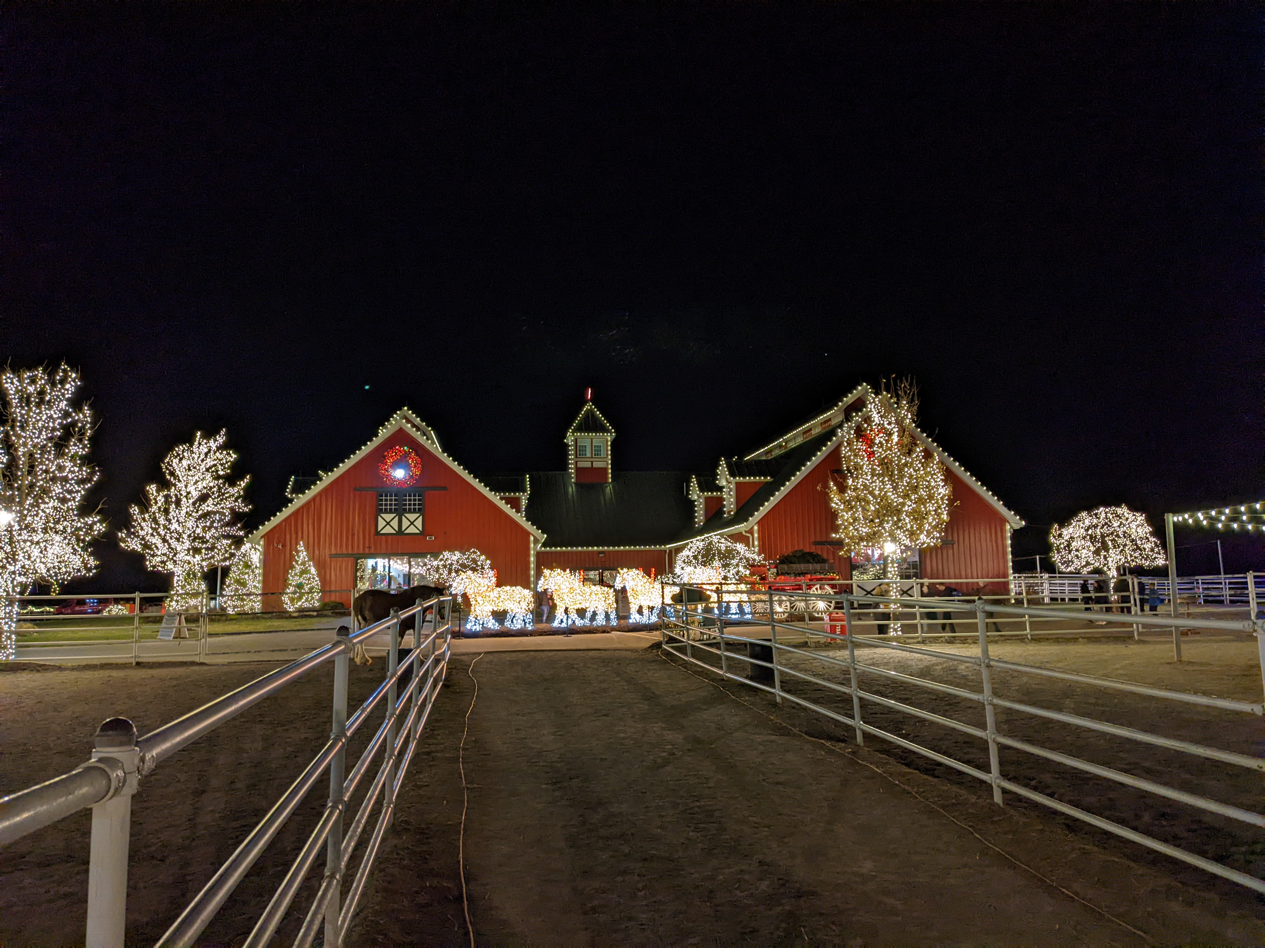 PXL 20211222 014854175