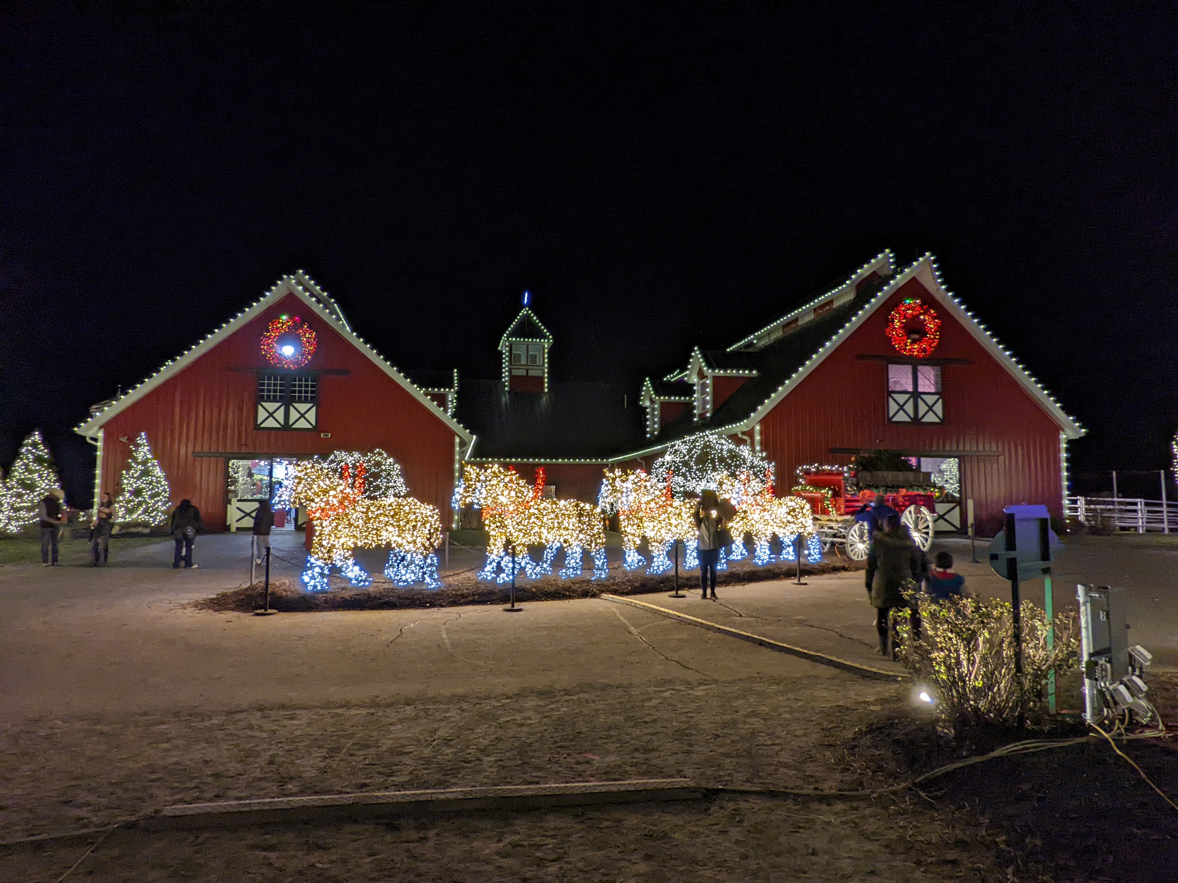 PXL 20211222 015035649