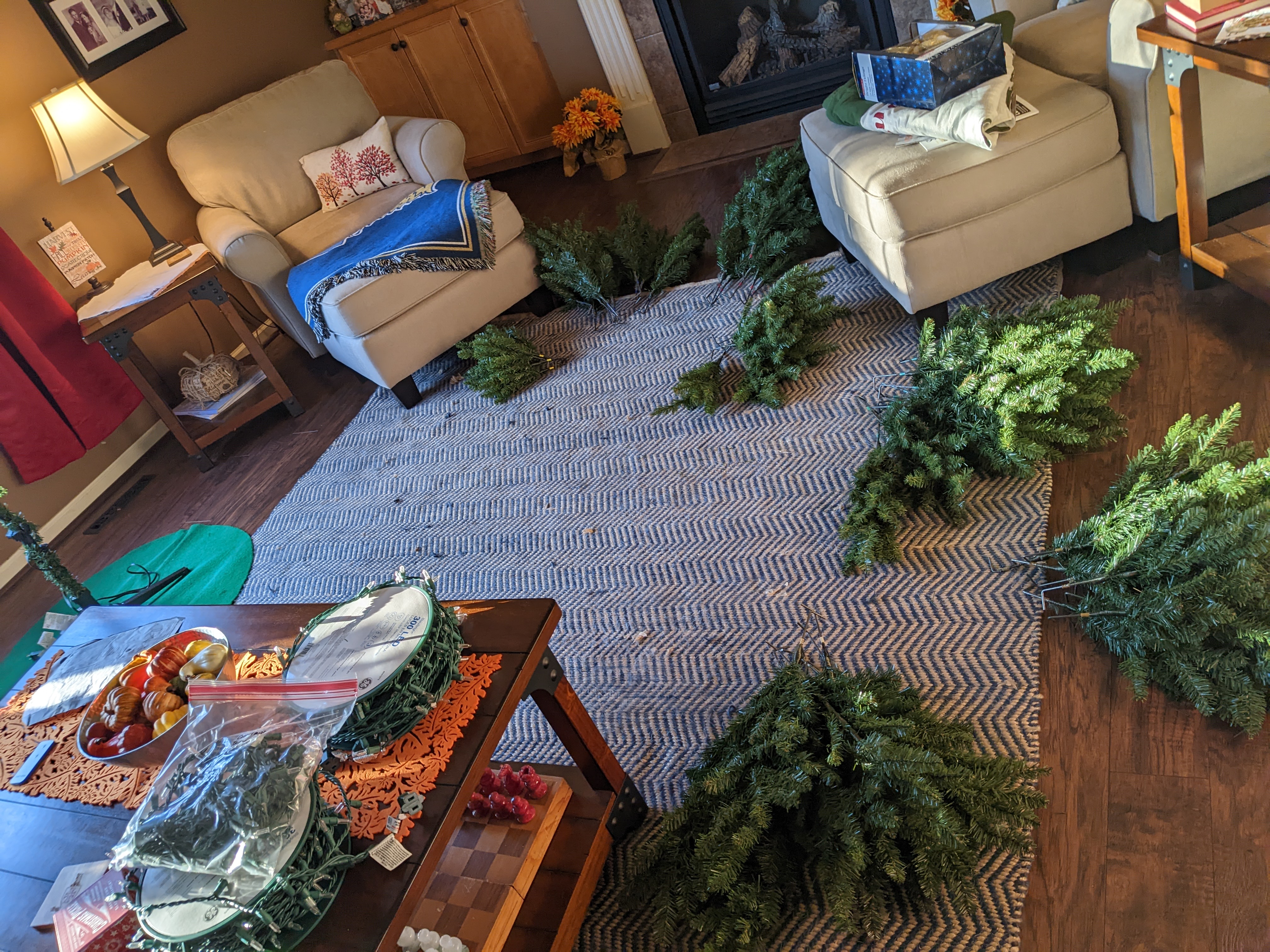 PXL 20221119 220043761