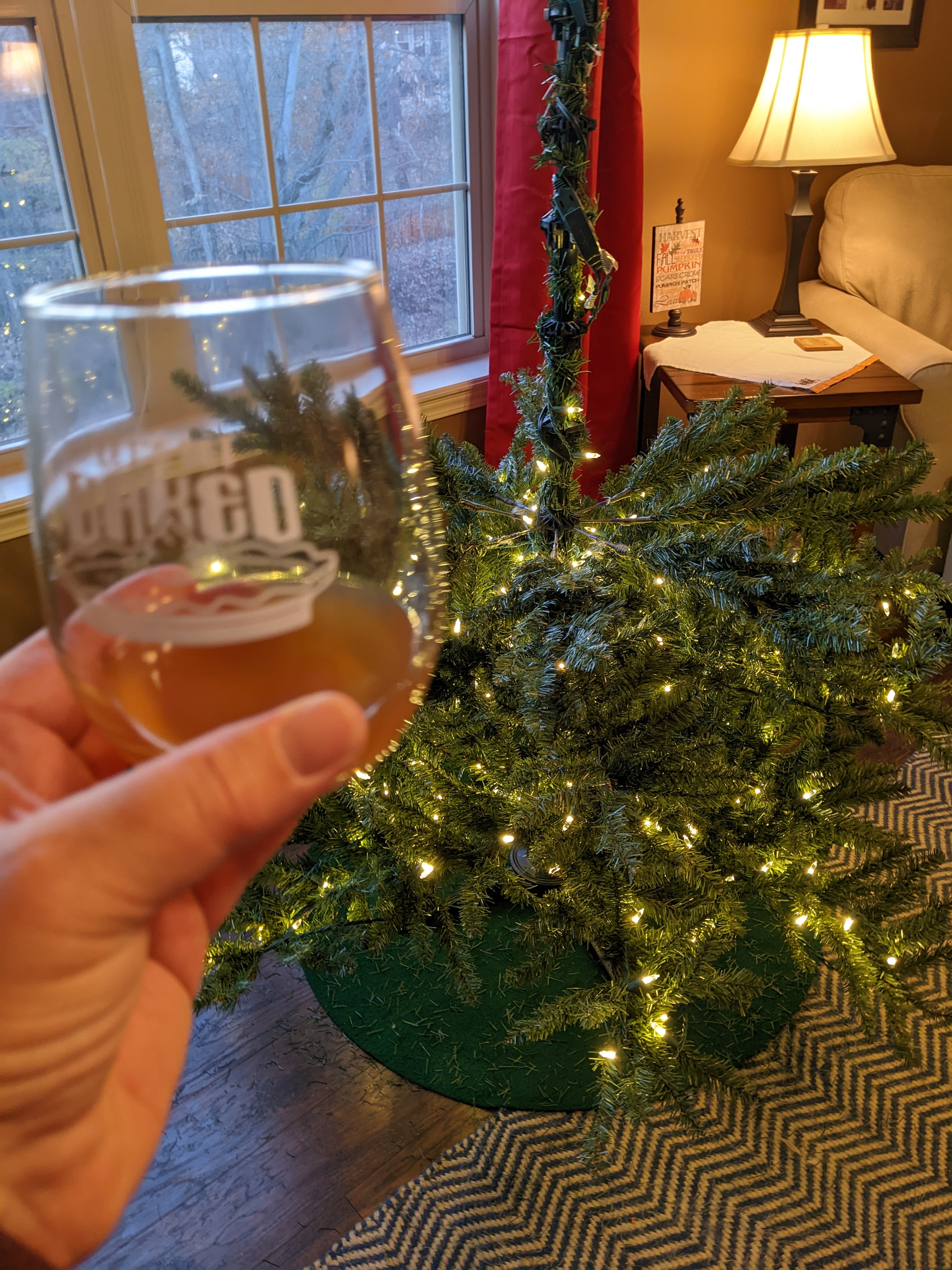 PXL 20221119 224314690