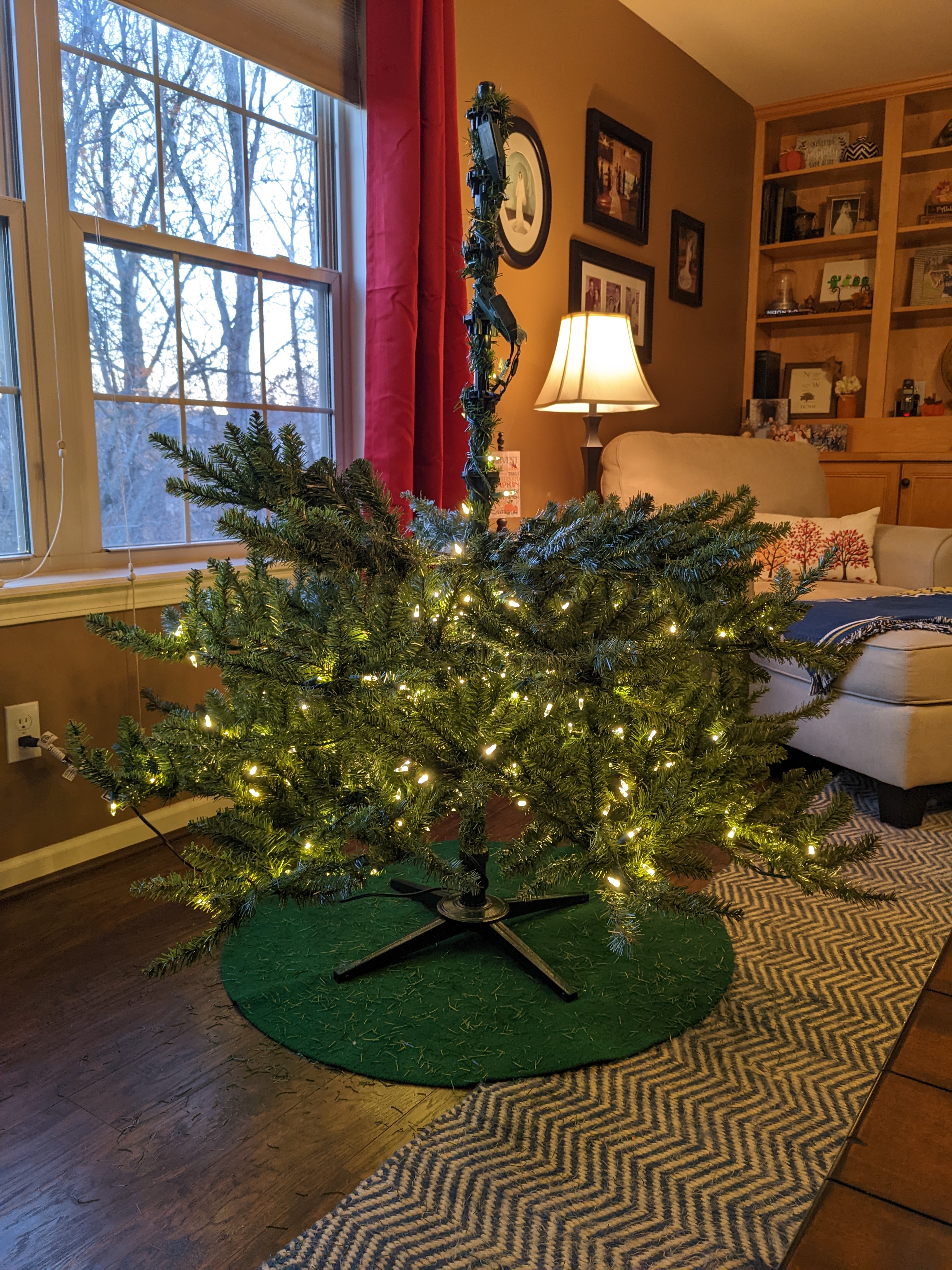 PXL 20221119 224453366