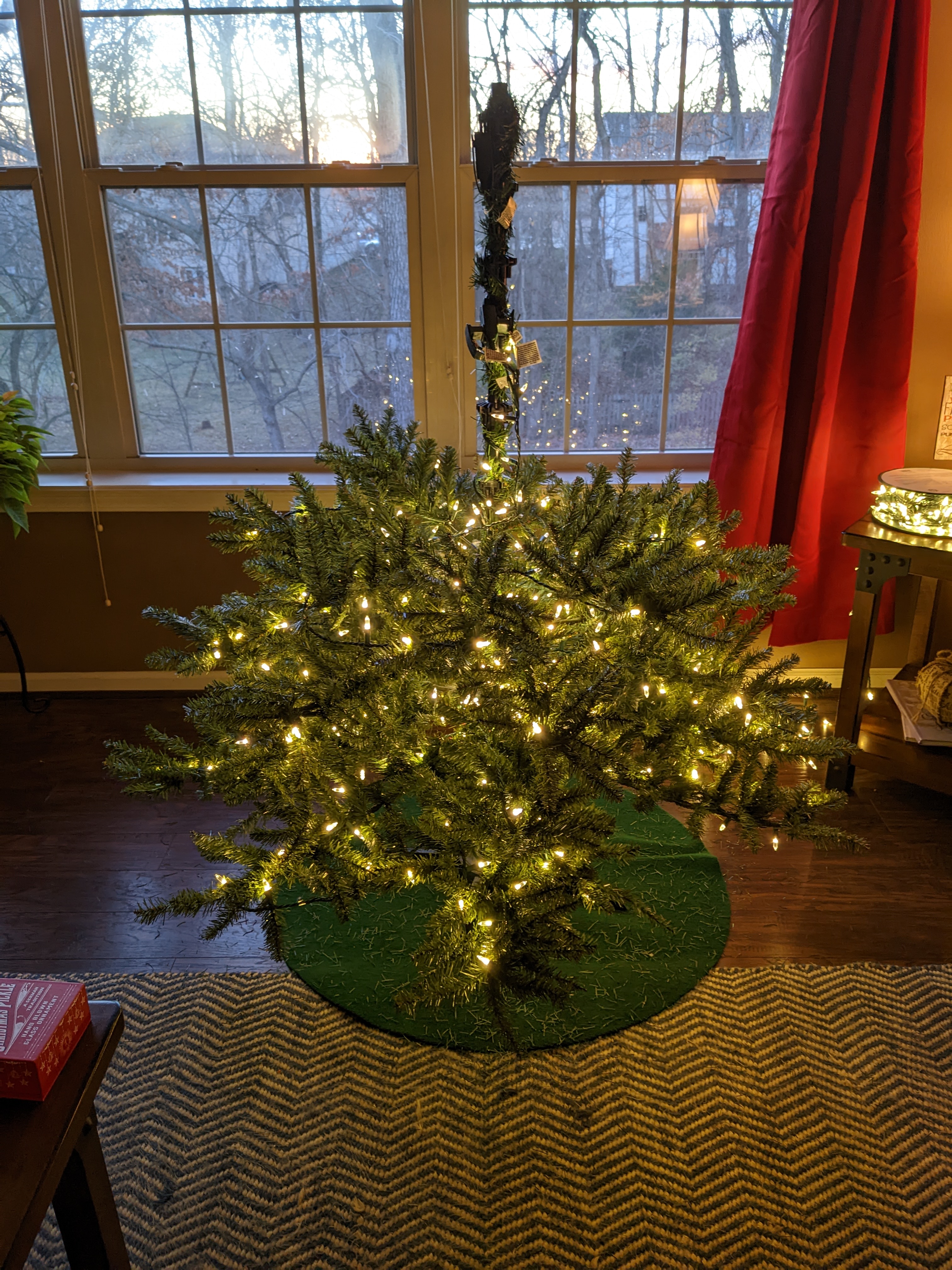 PXL 20221119 225113565