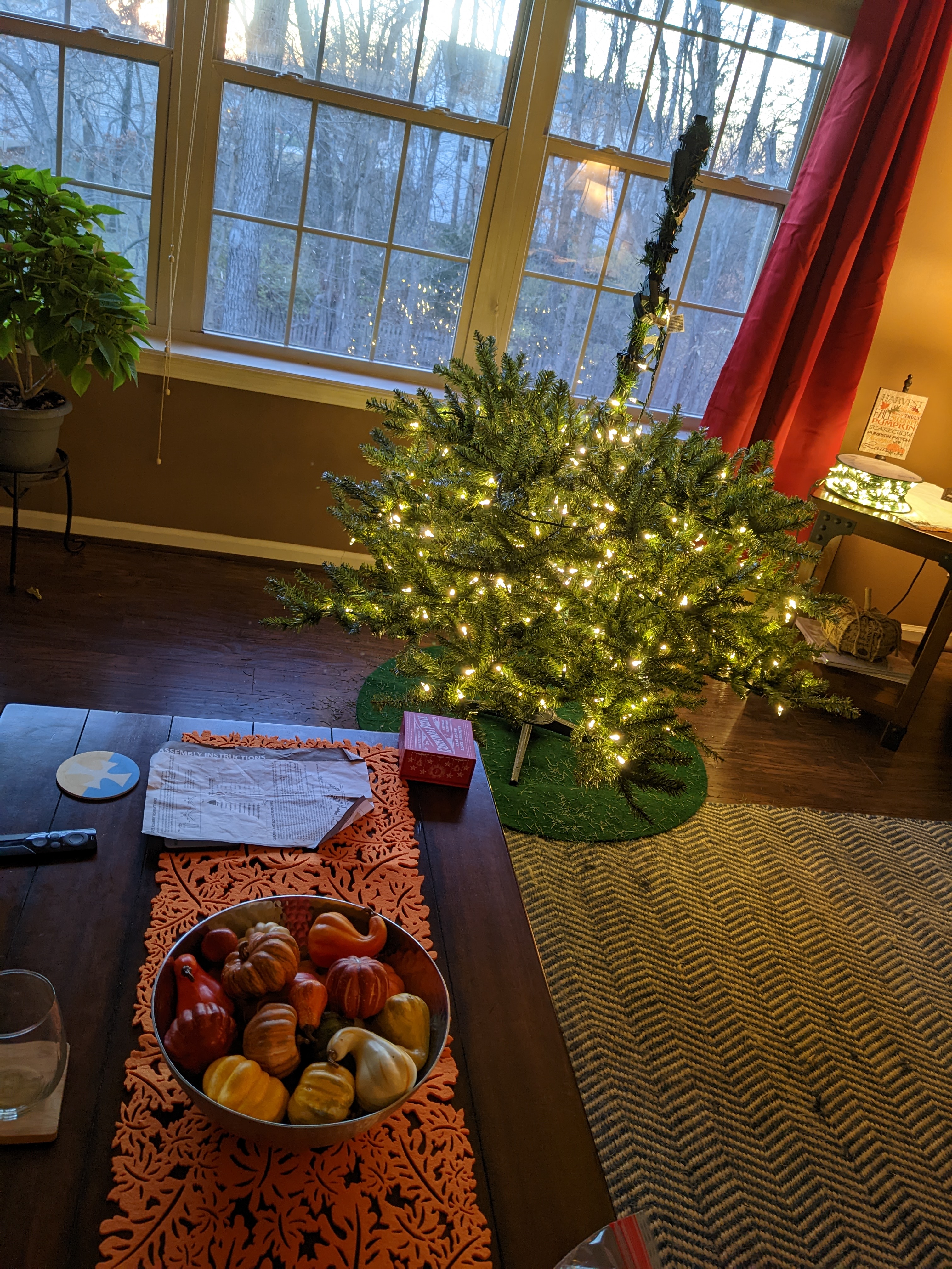 PXL 20221119 225126926