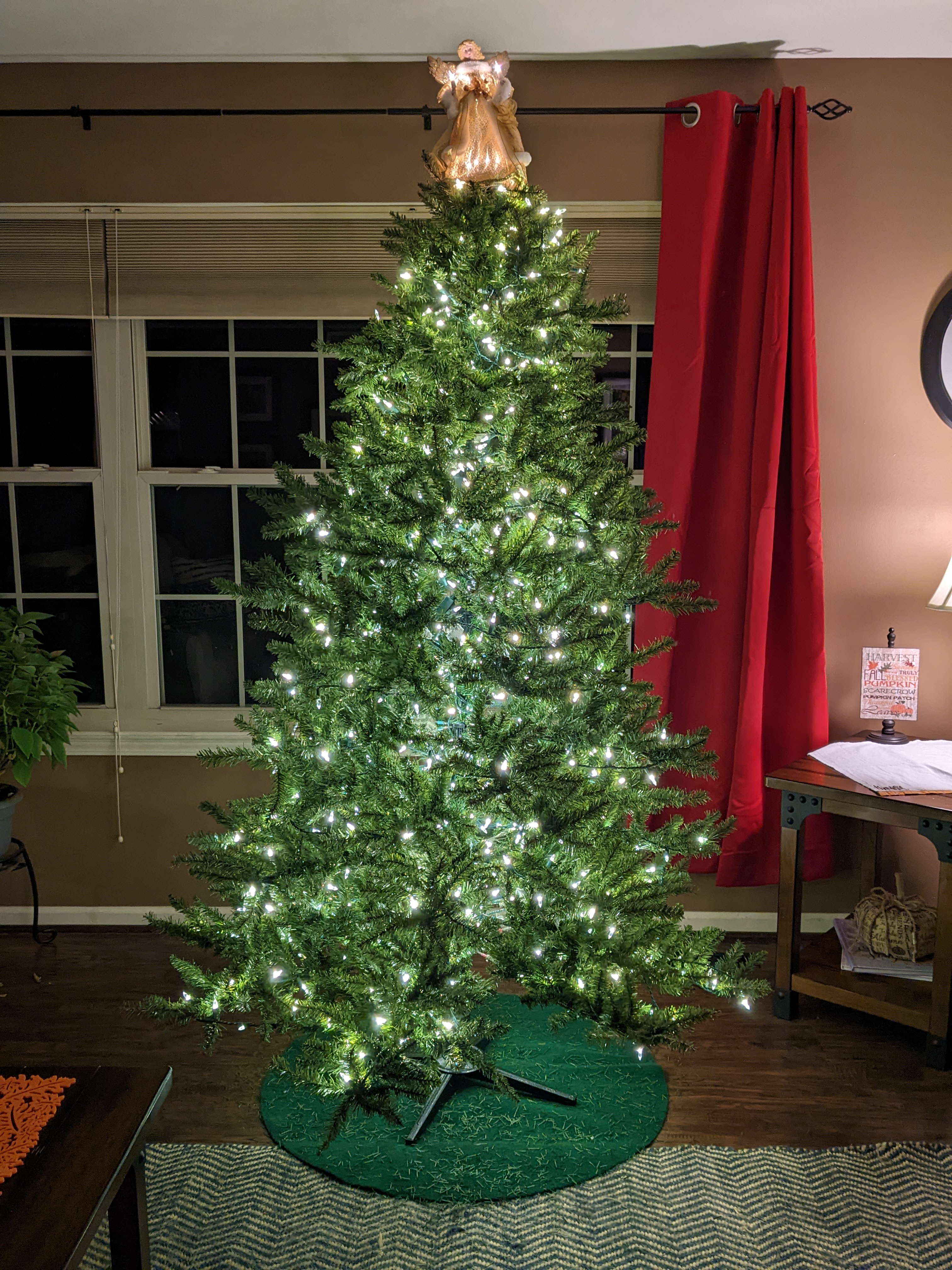 PXL 20221119 235641444