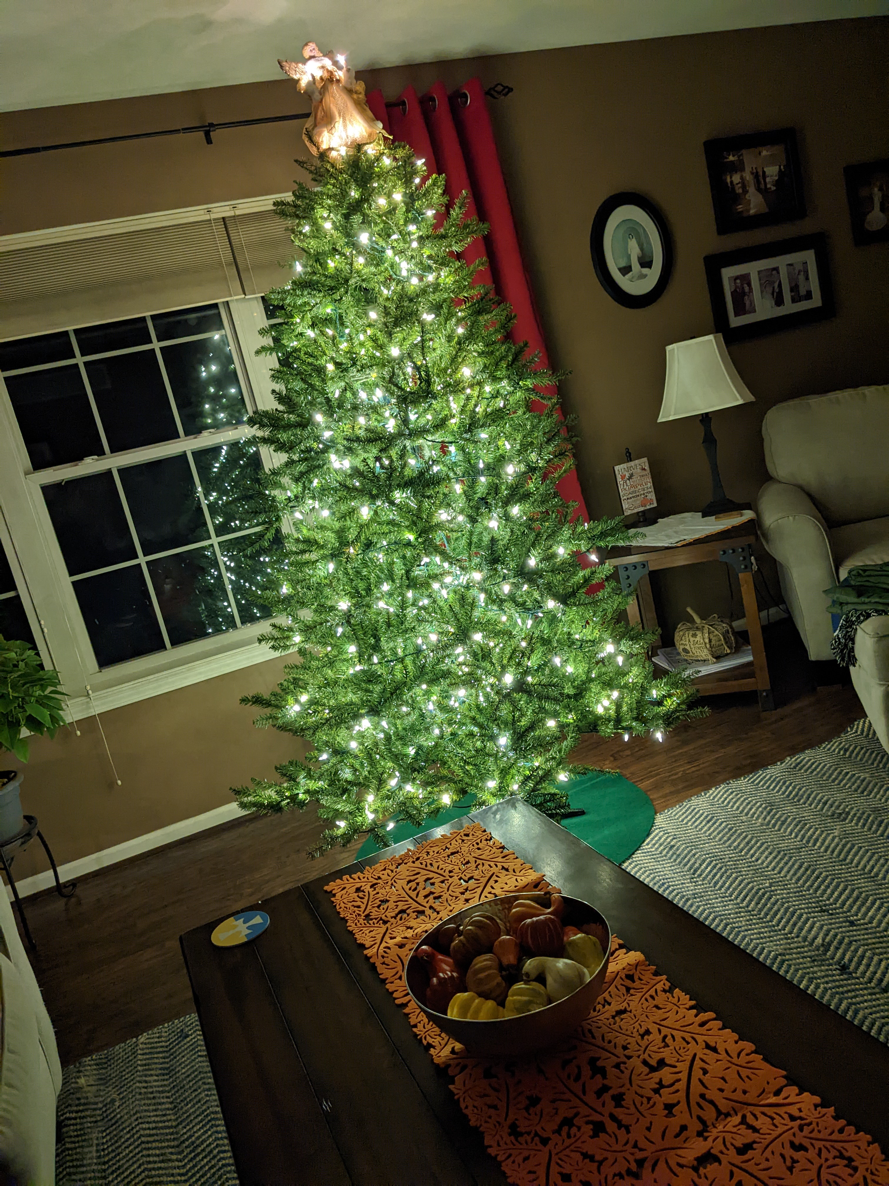 PXL 20221122 104345945