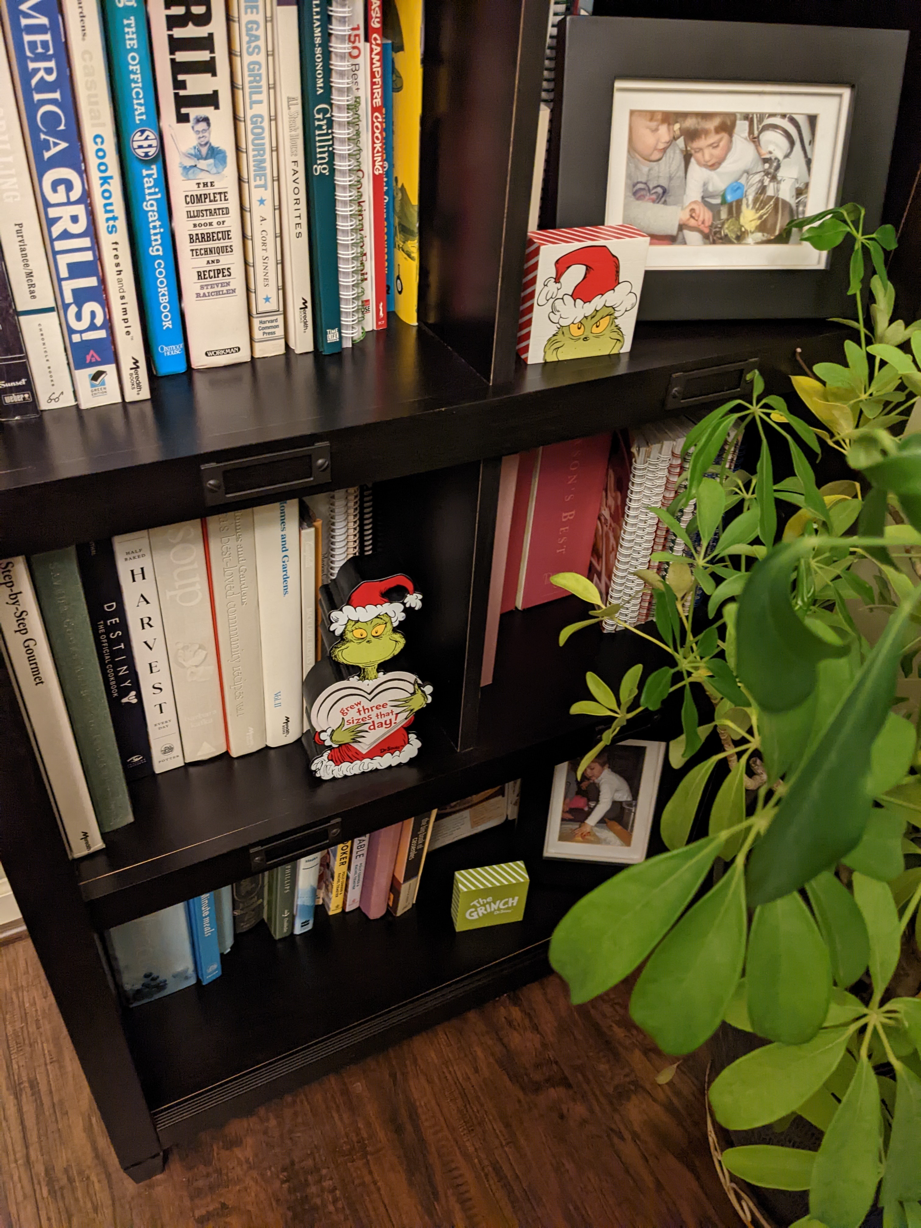 PXL 20221206 115800073