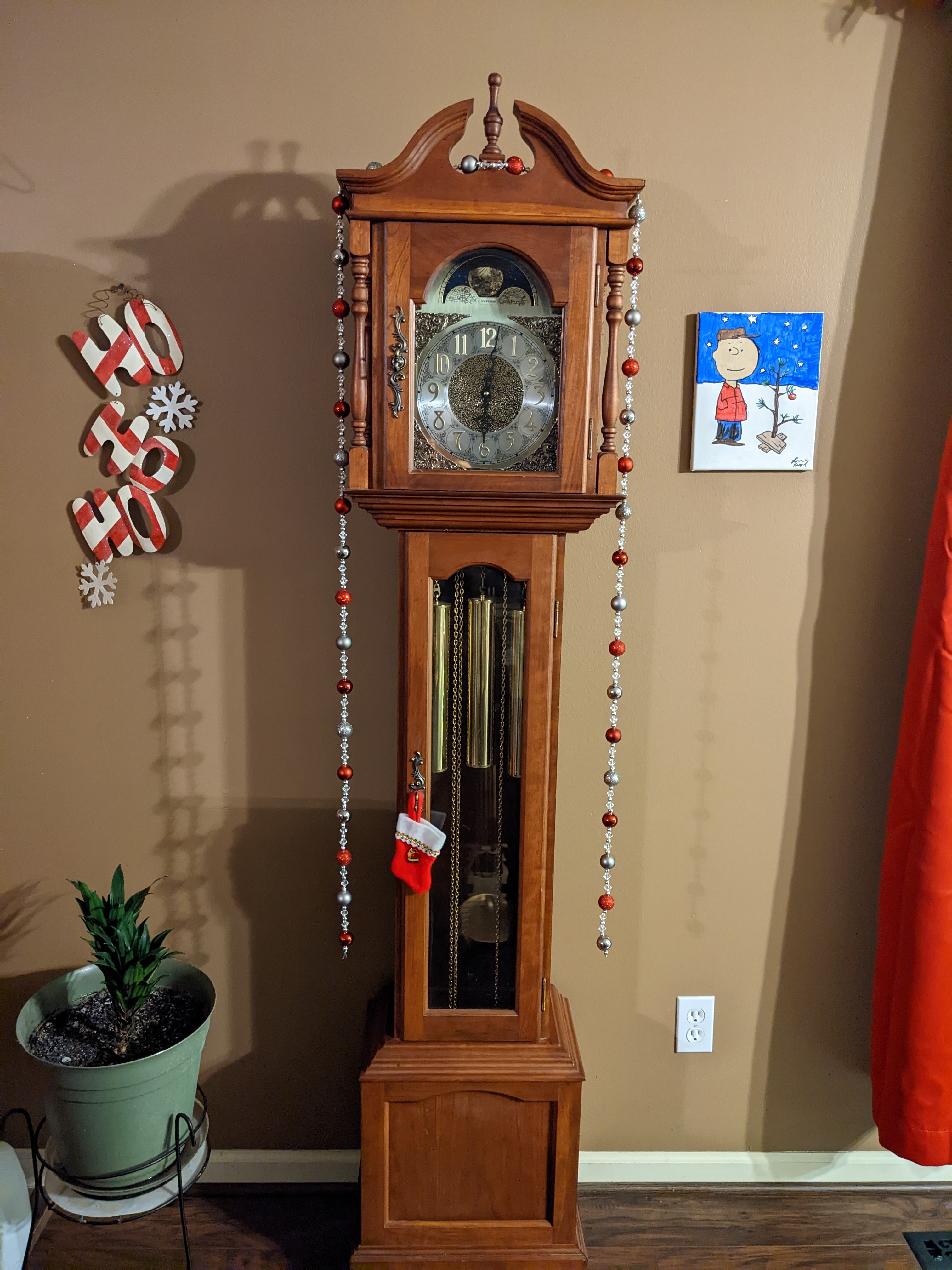 PXL 20221206 120206959