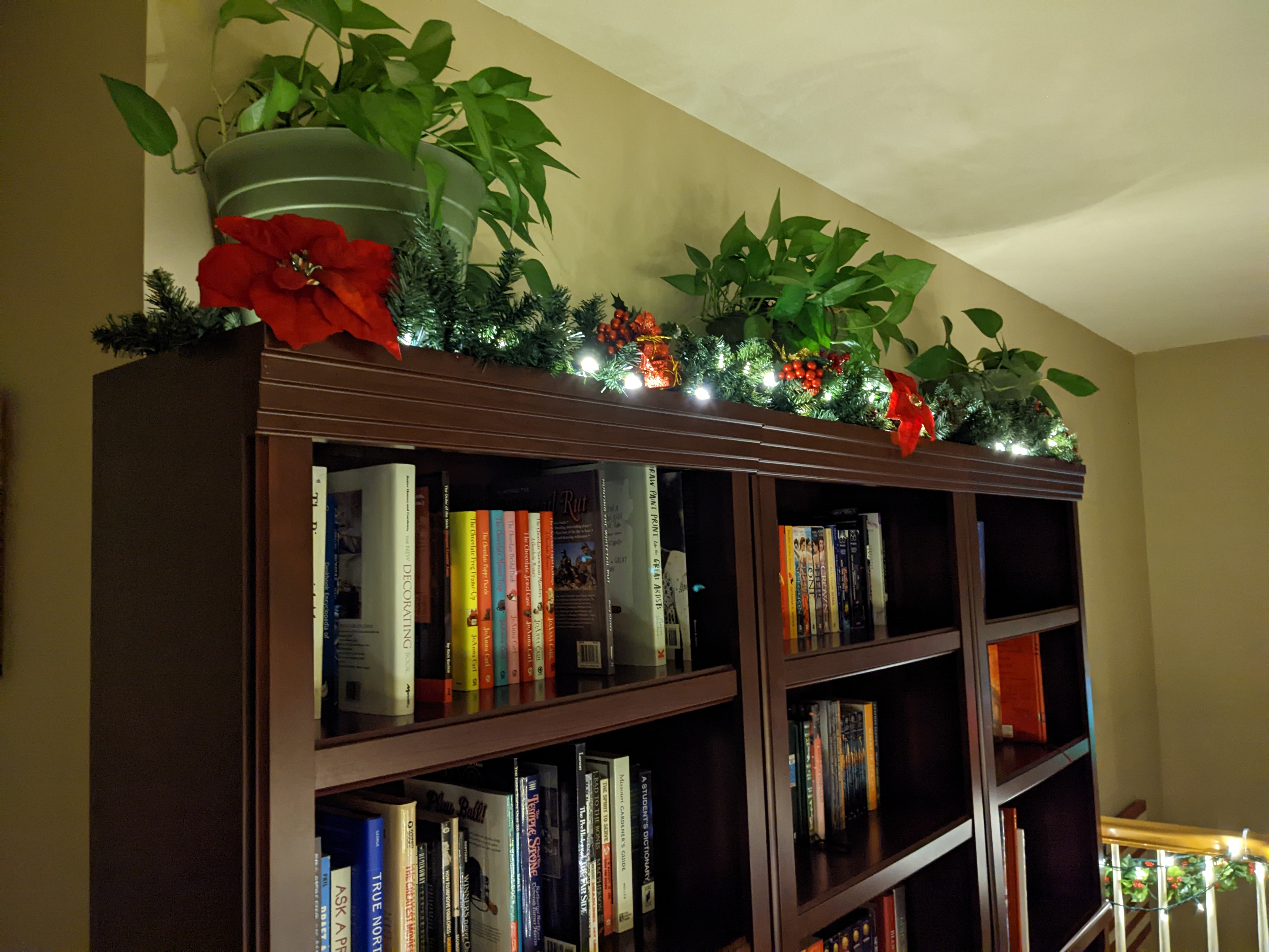 PXL 20221206 121956177