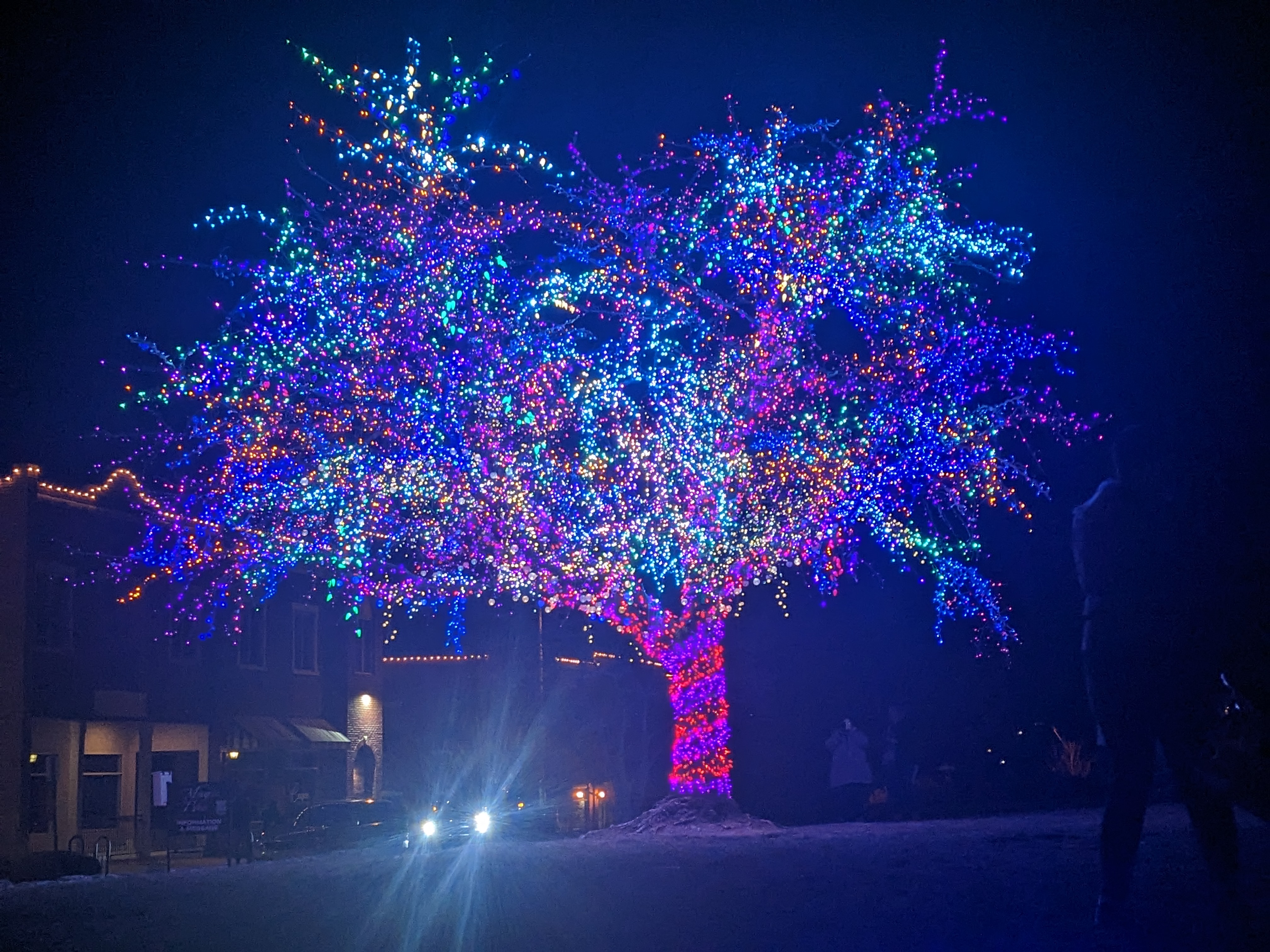 PXL 20221217 234956325