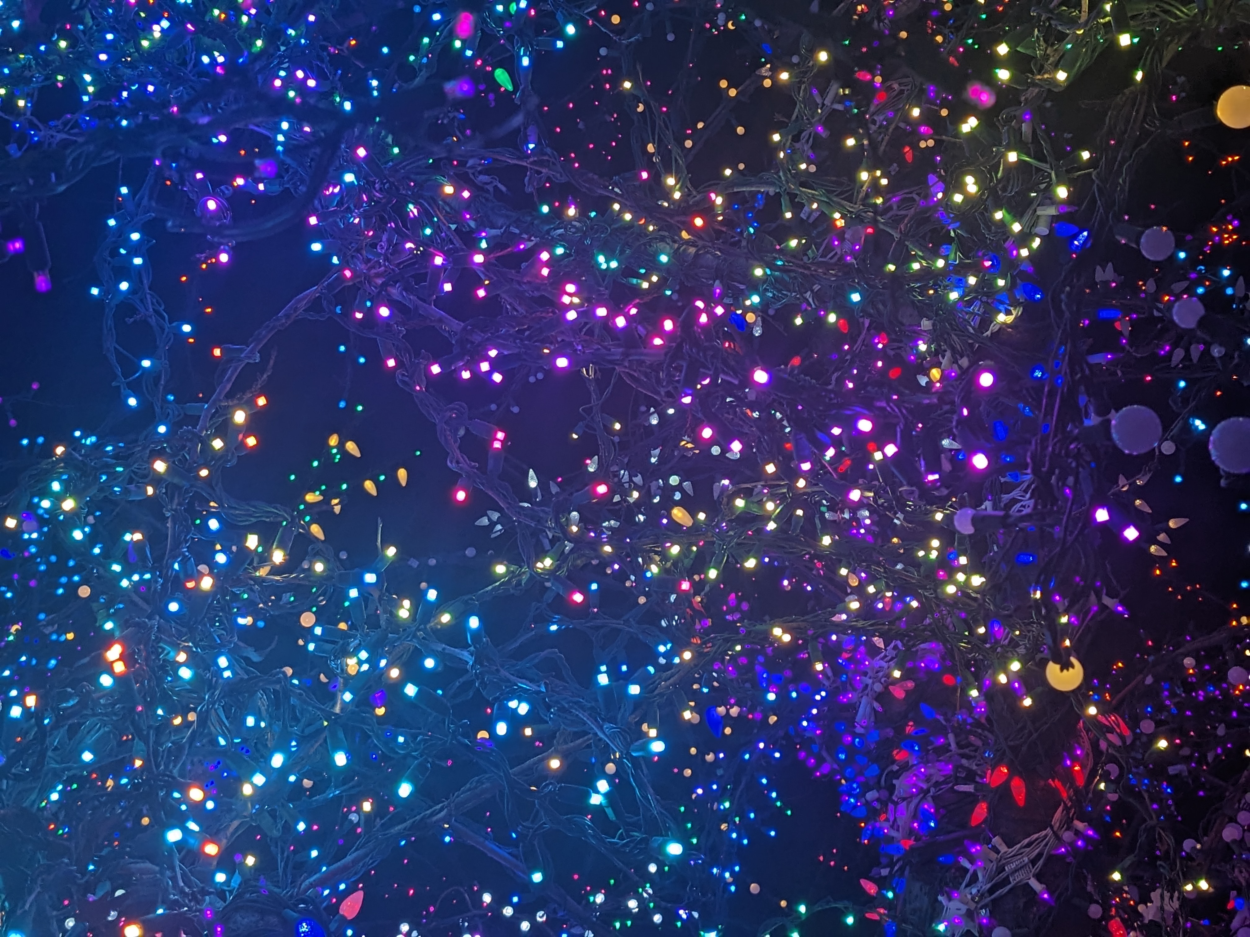 PXL 20221217 235118842