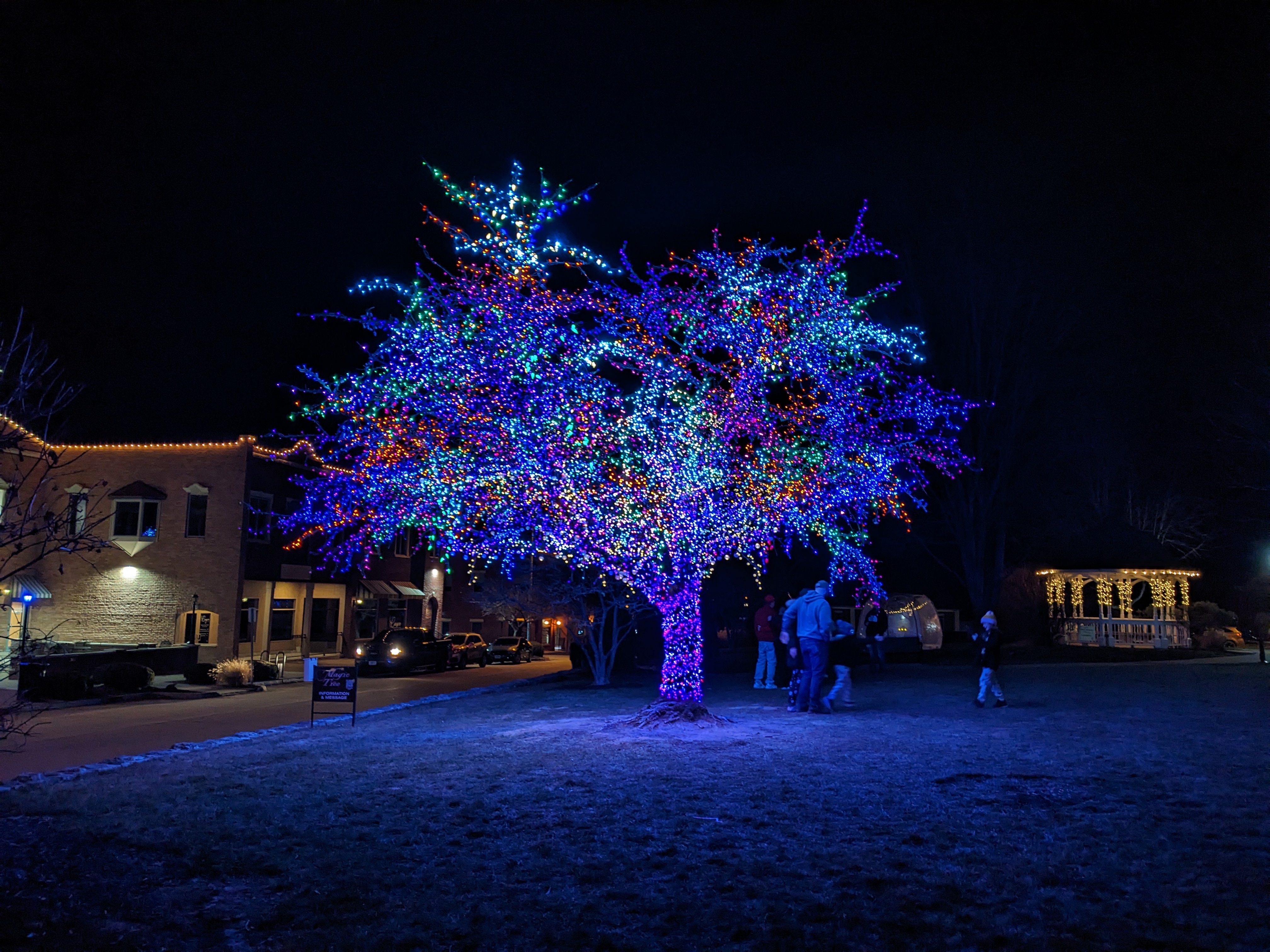 PXL 20221218 000225687