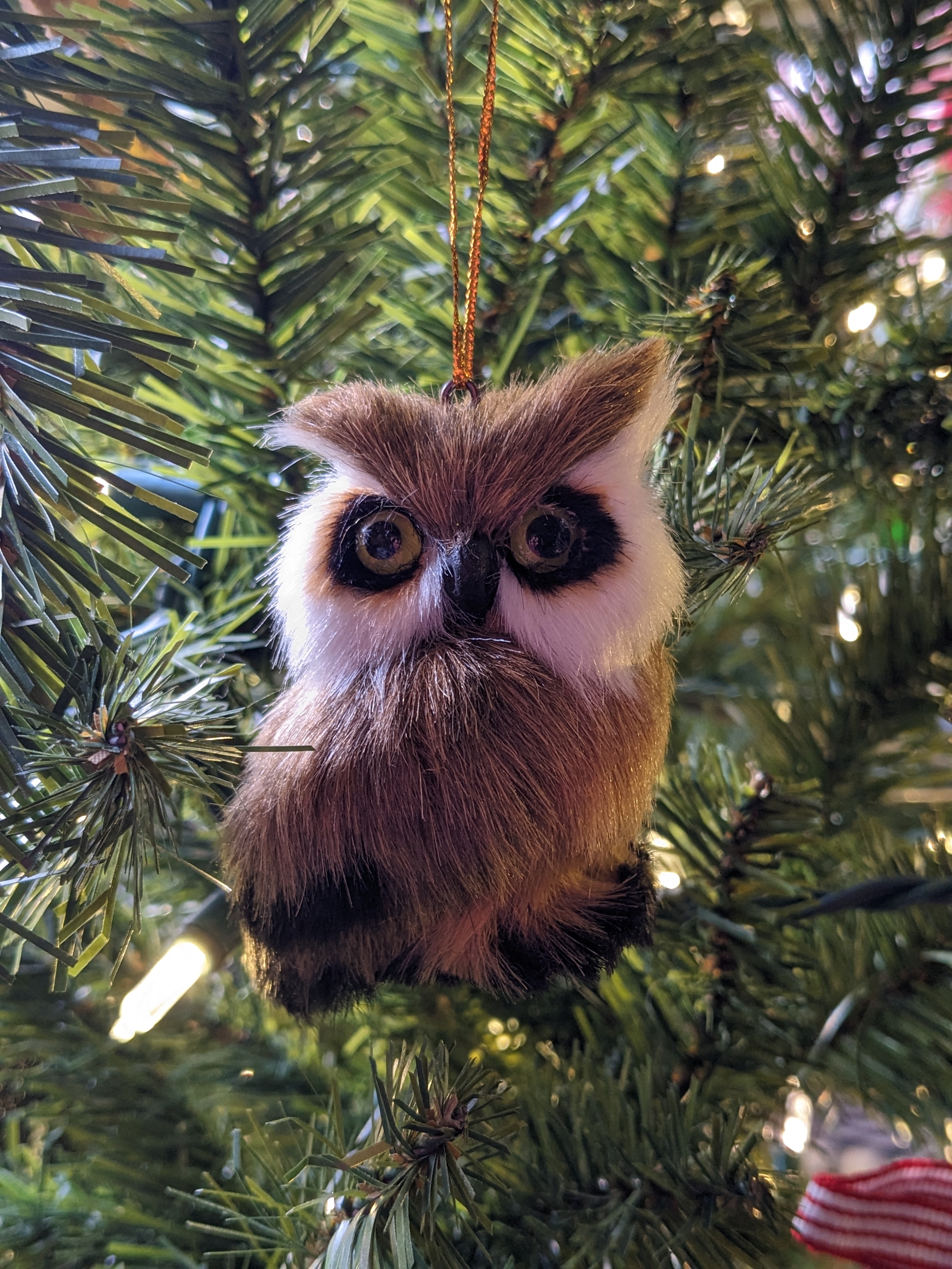 PXL 20221218 213447859