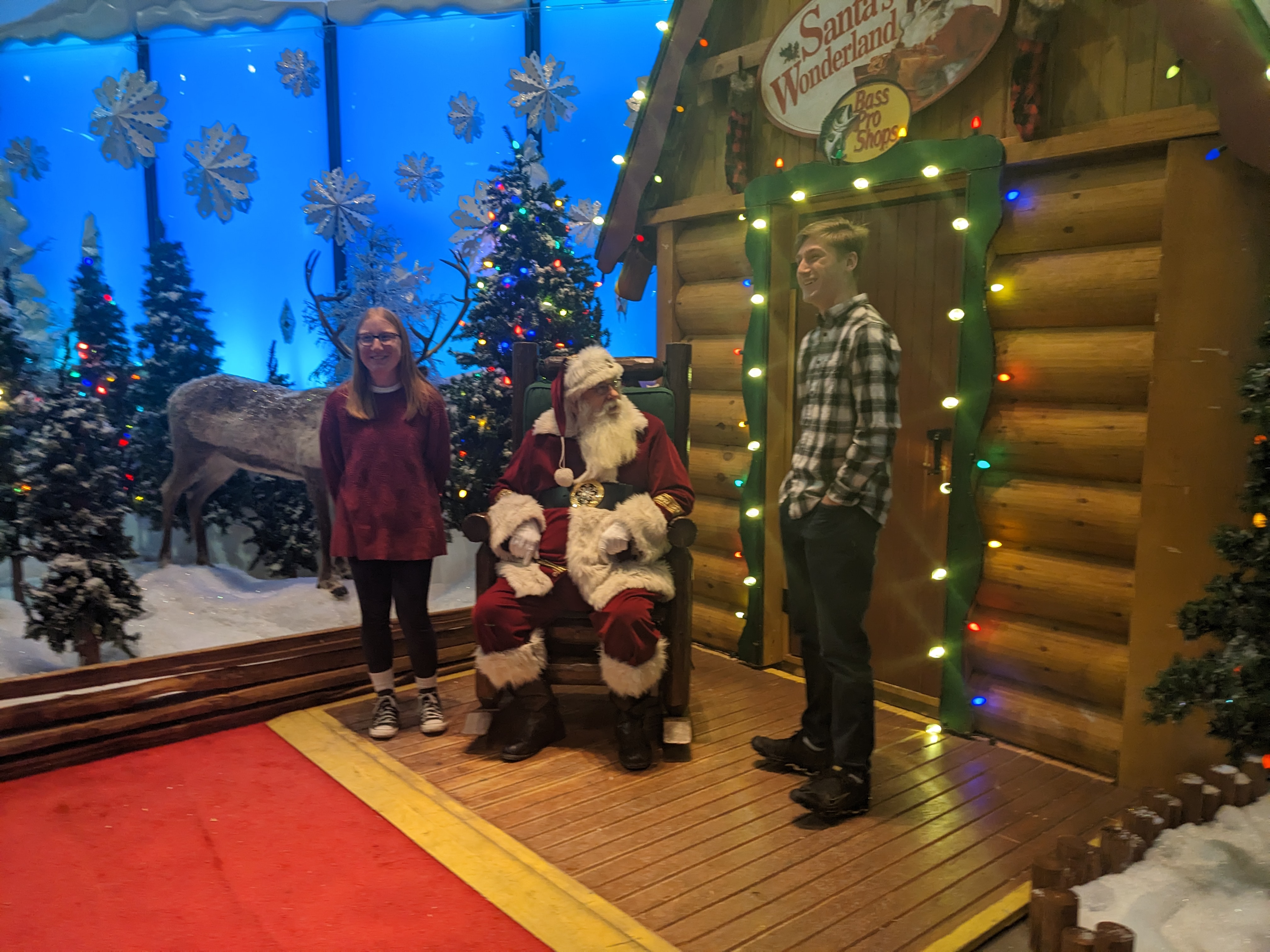 PXL 20221223 193334738