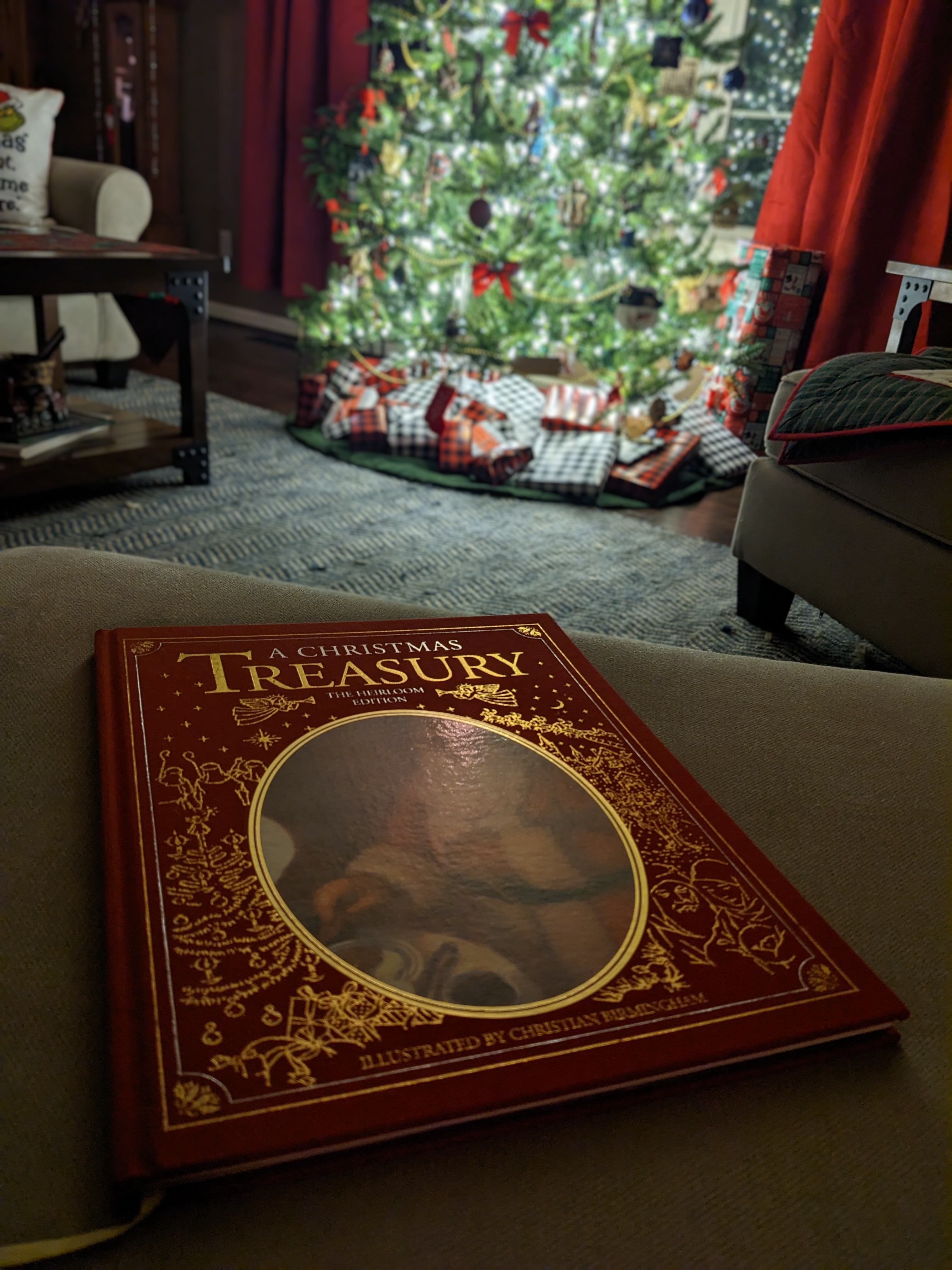 PXL 20221225 120057313