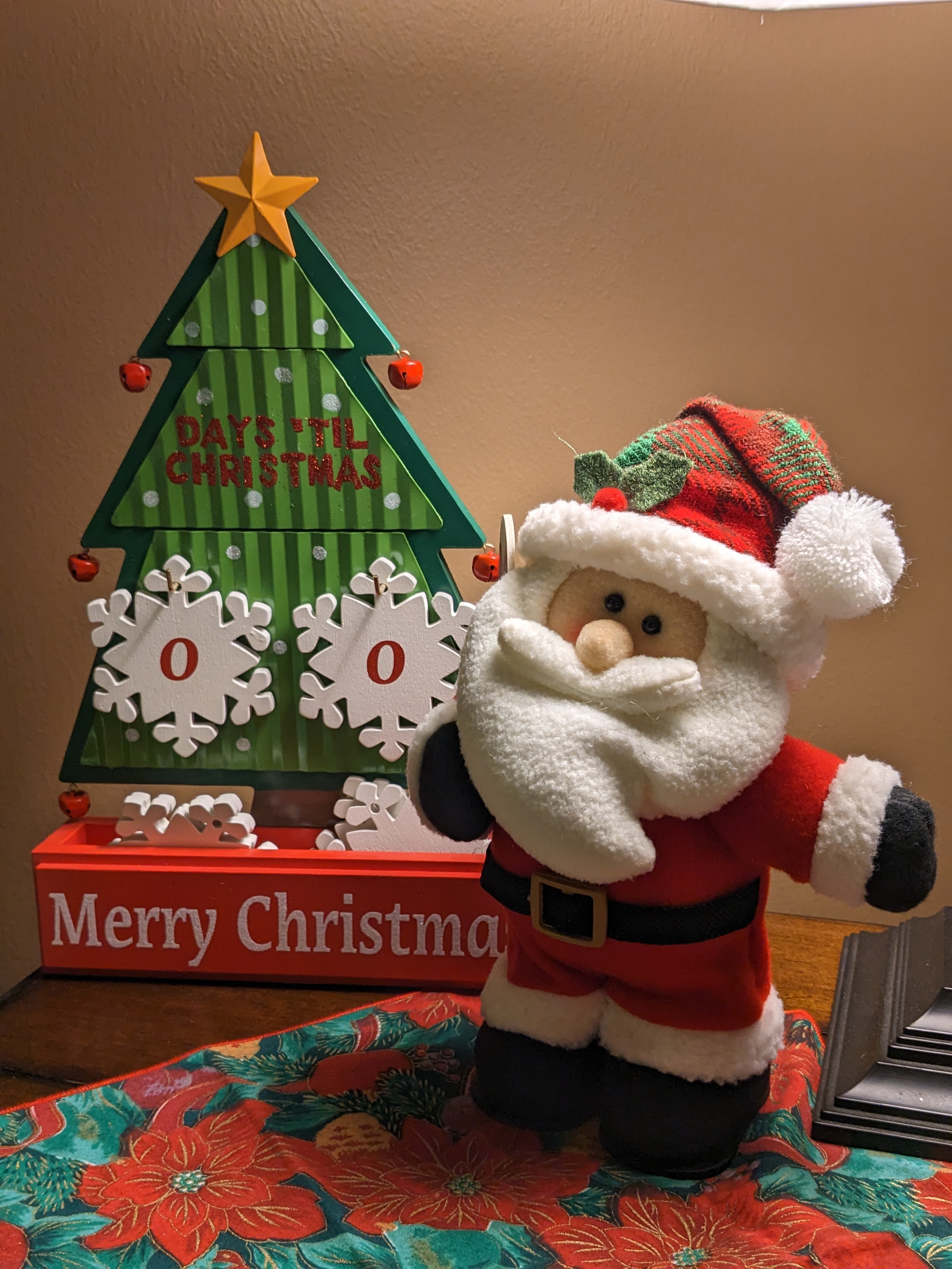 PXL 20221225 123400274