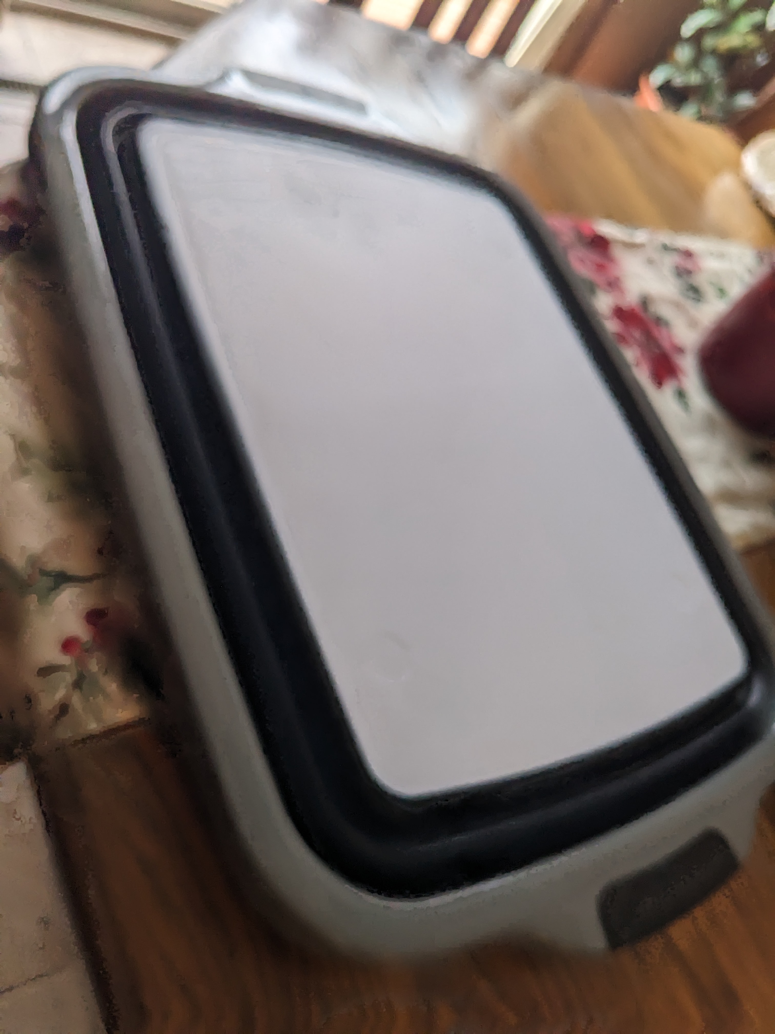 PXL 20221225 204136070