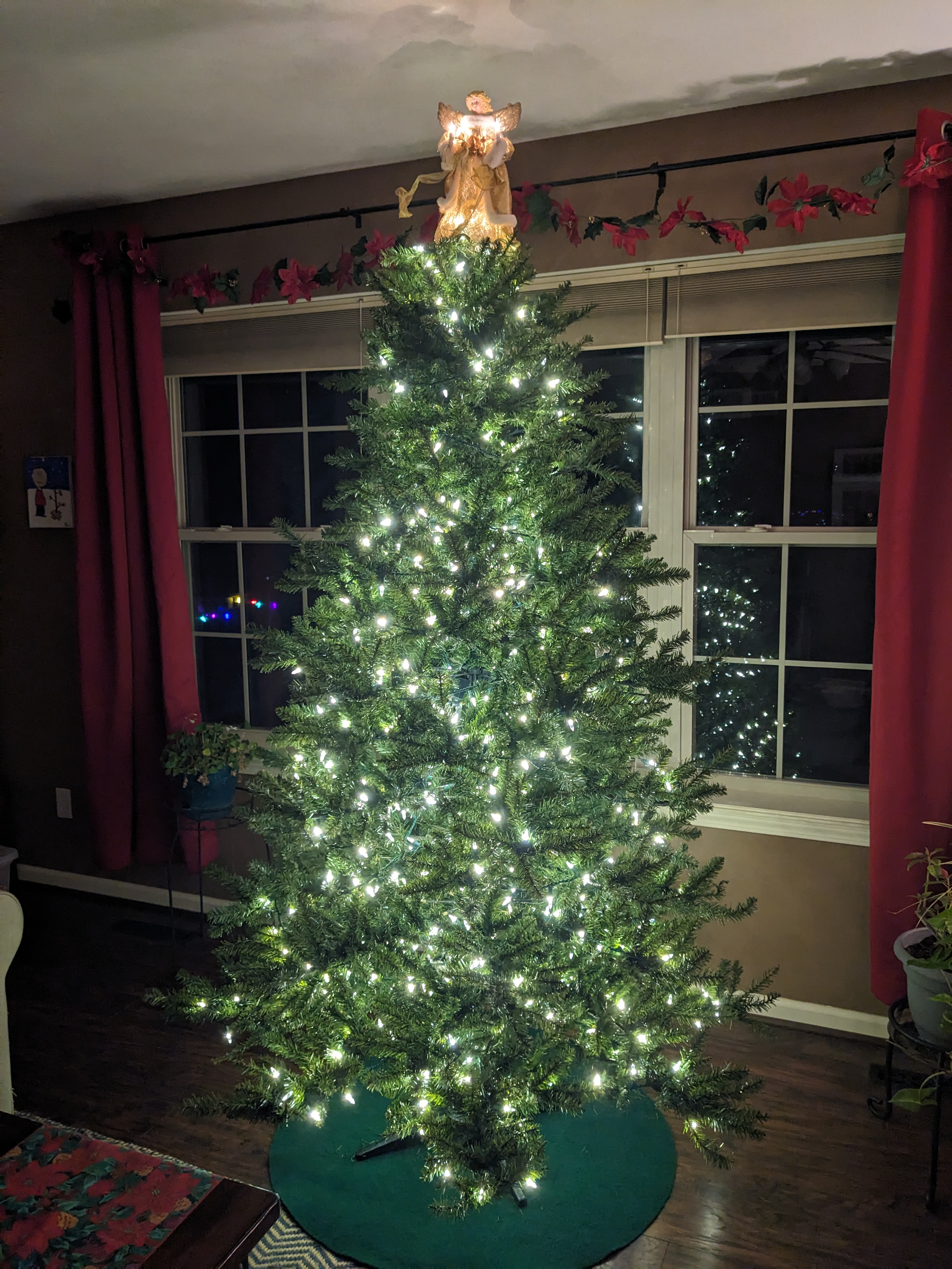 PXL 20231128 015020322