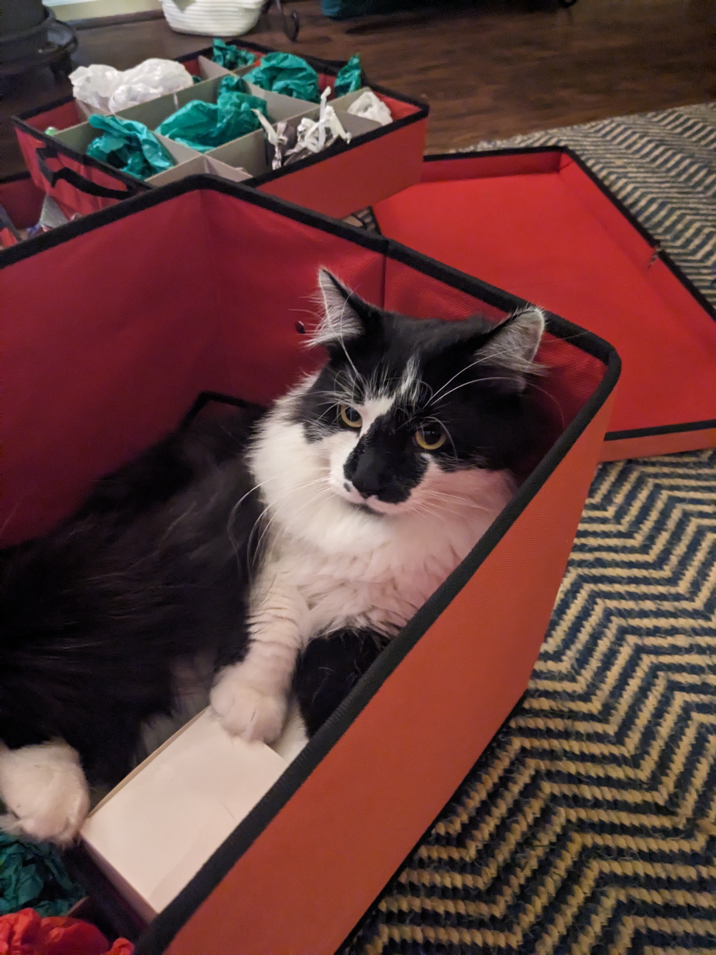 PXL 20231130 010032350