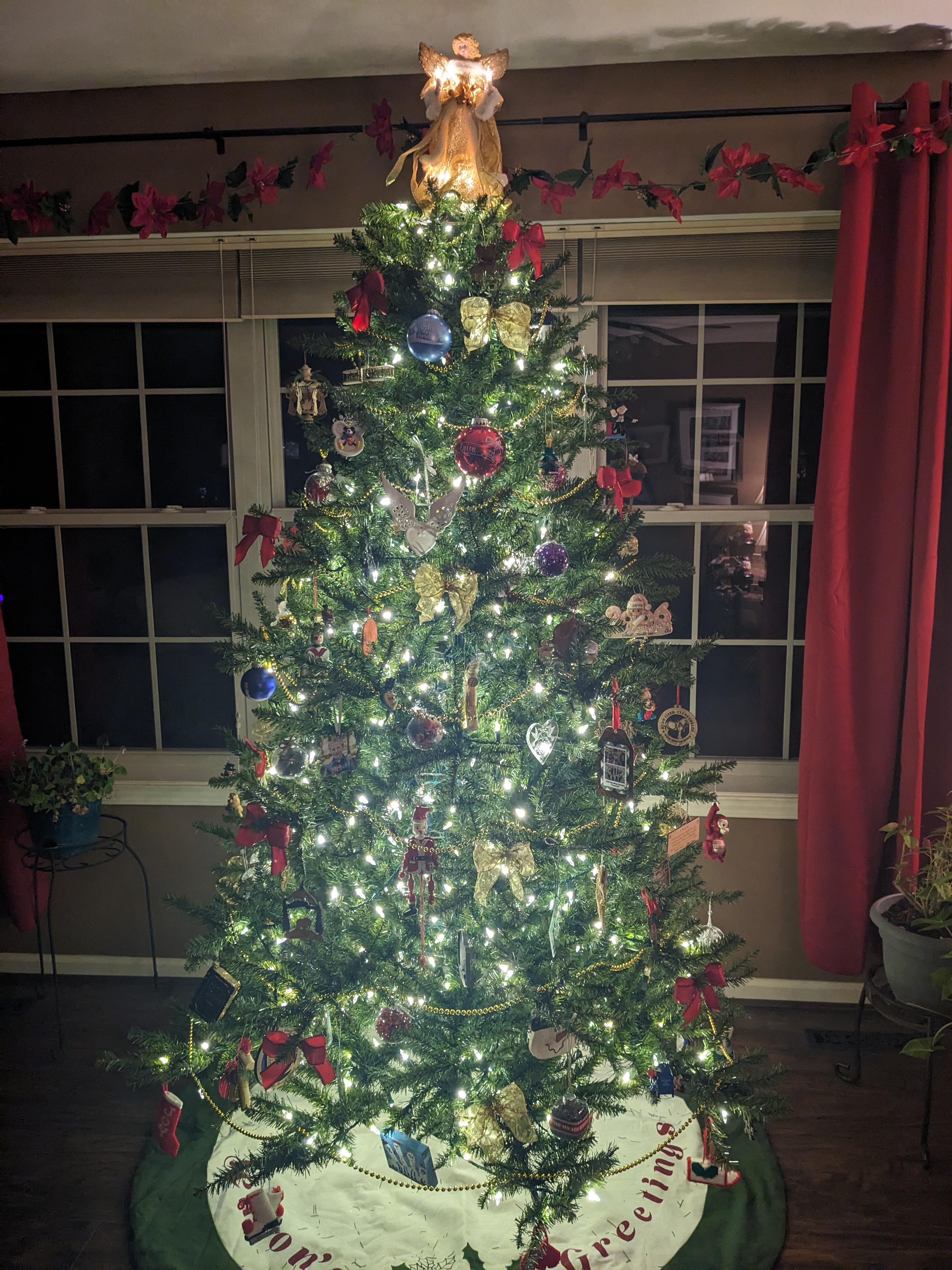 PXL 20231130 022010100