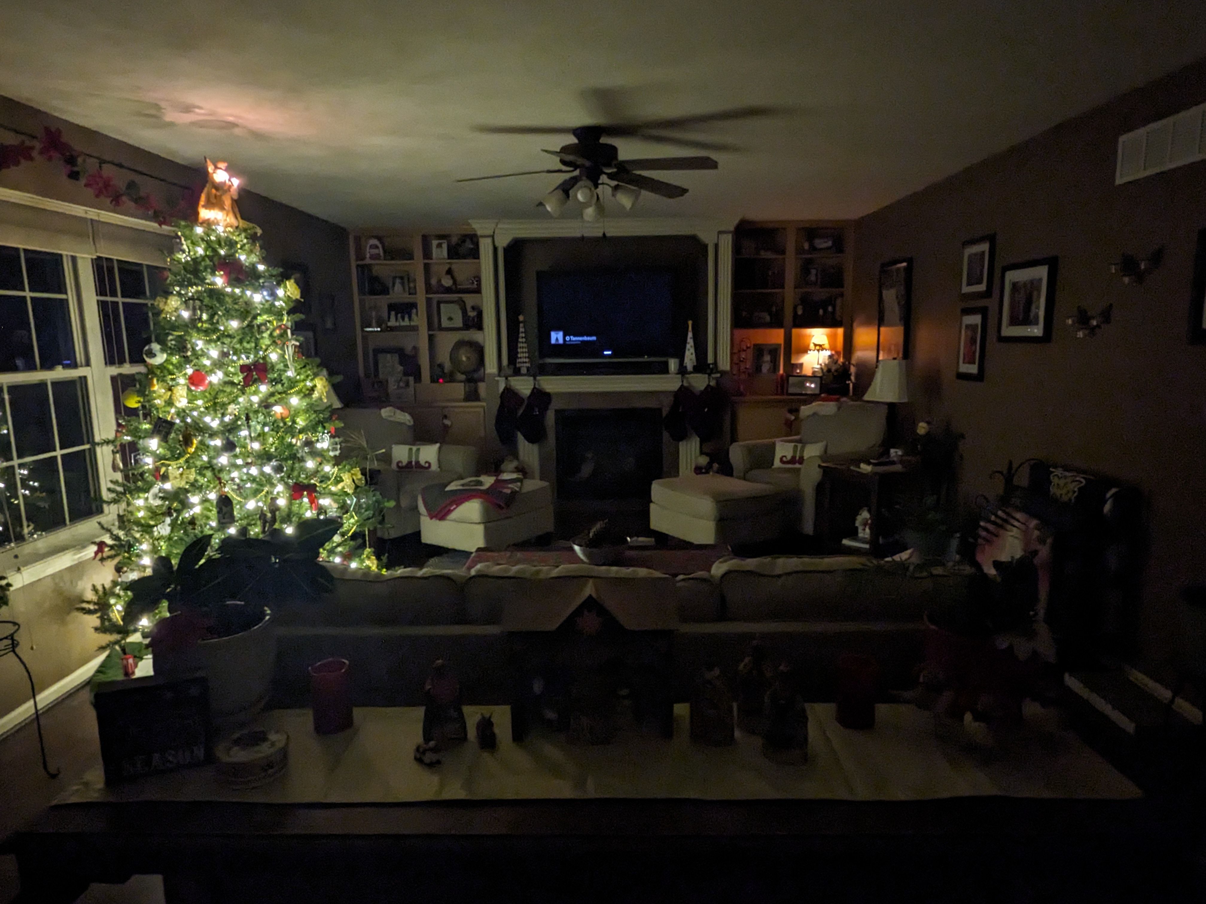 PXL 20231130 022251598