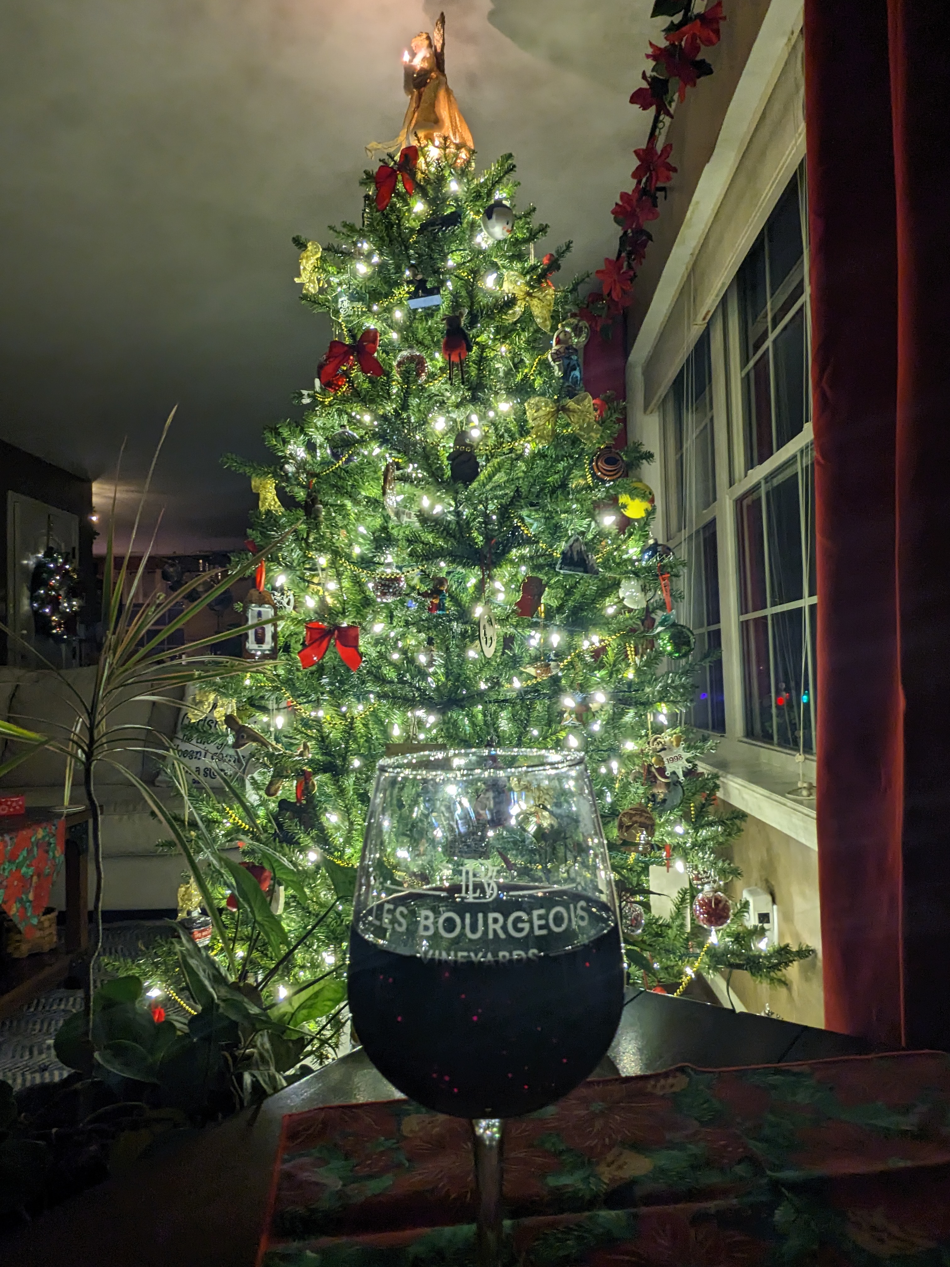 PXL 20231130 022619708.NIGHT