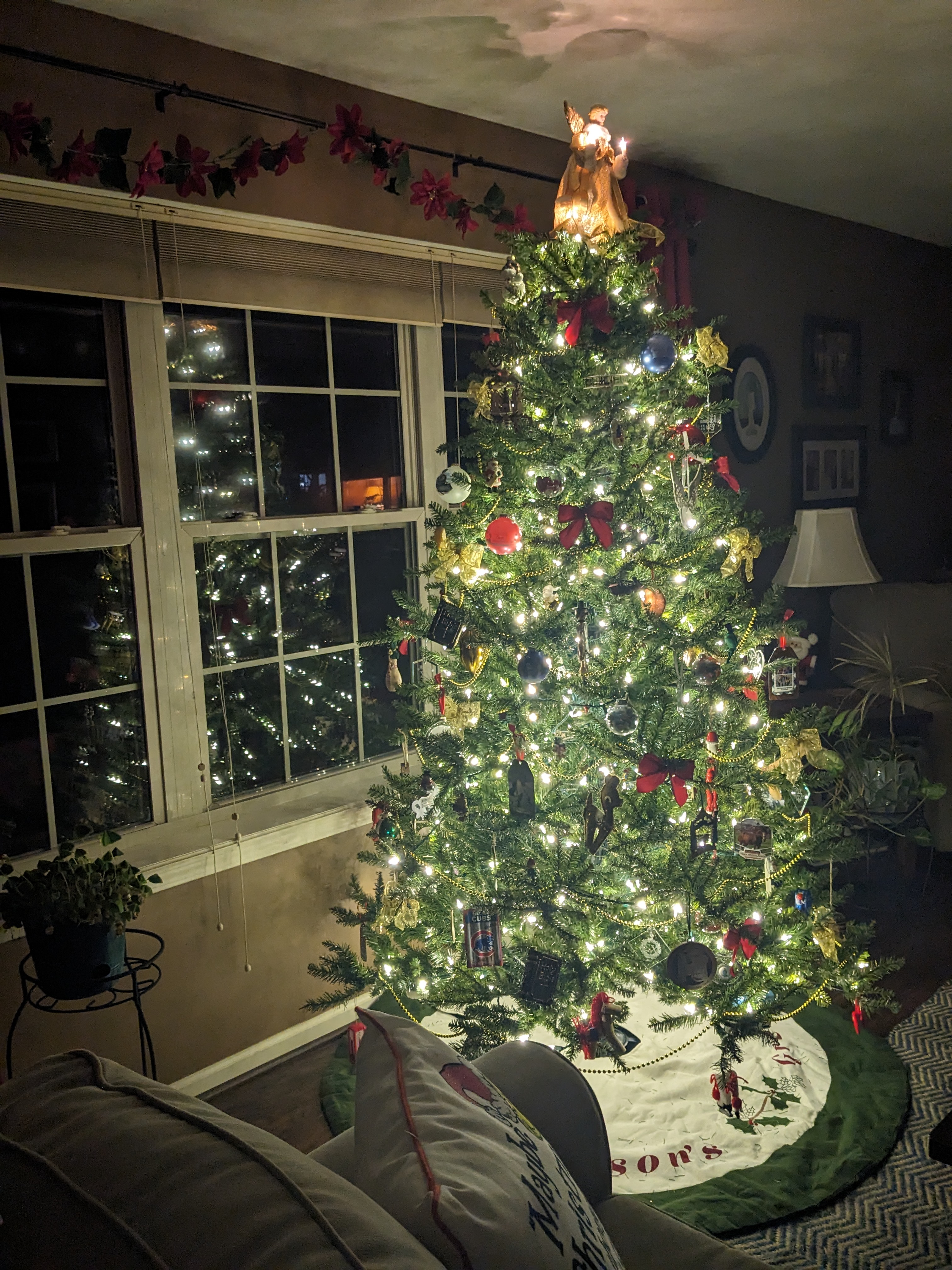 PXL 20231130 025232227