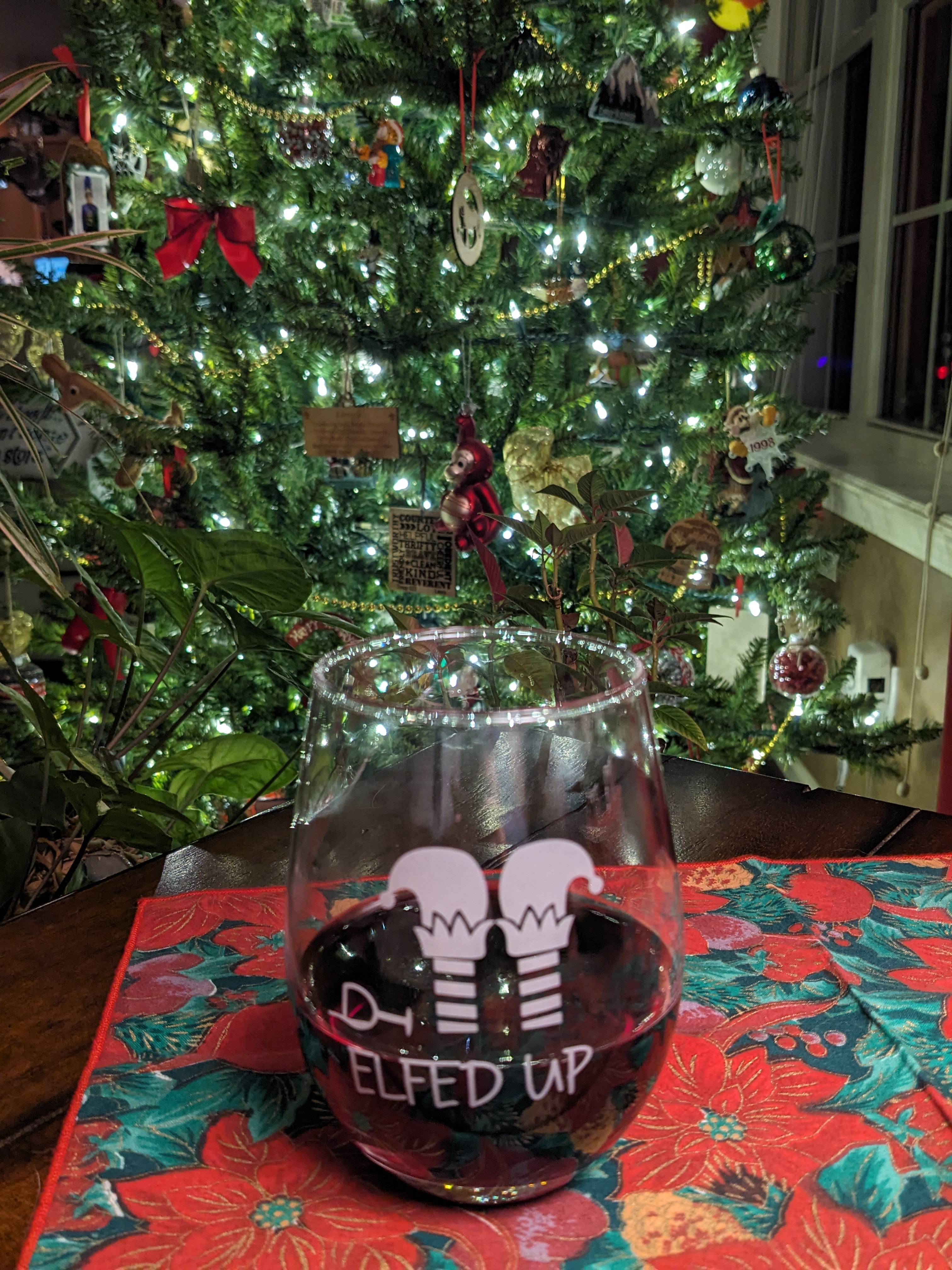 PXL 20231208 233105482