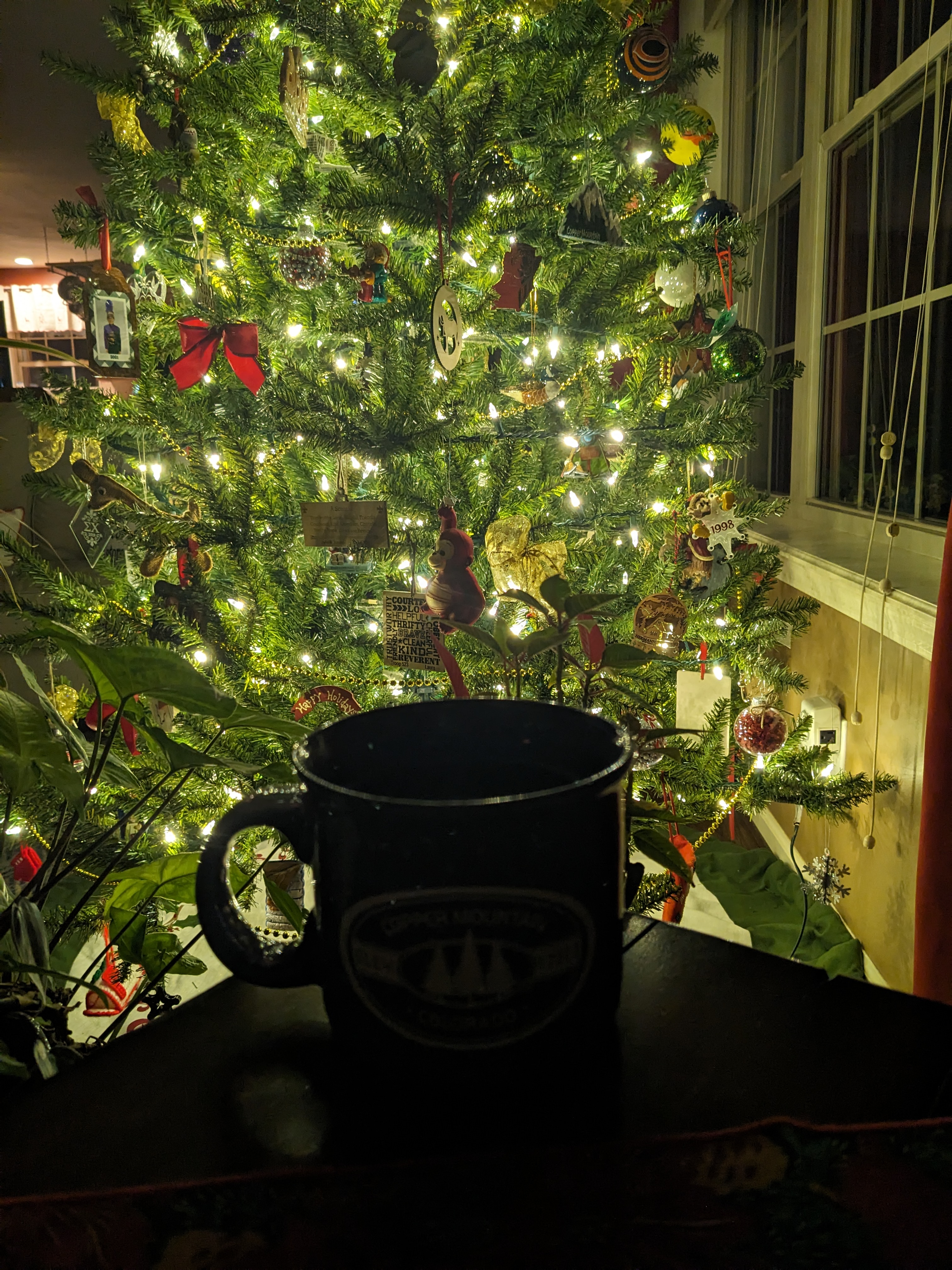 PXL 20231210 122619315