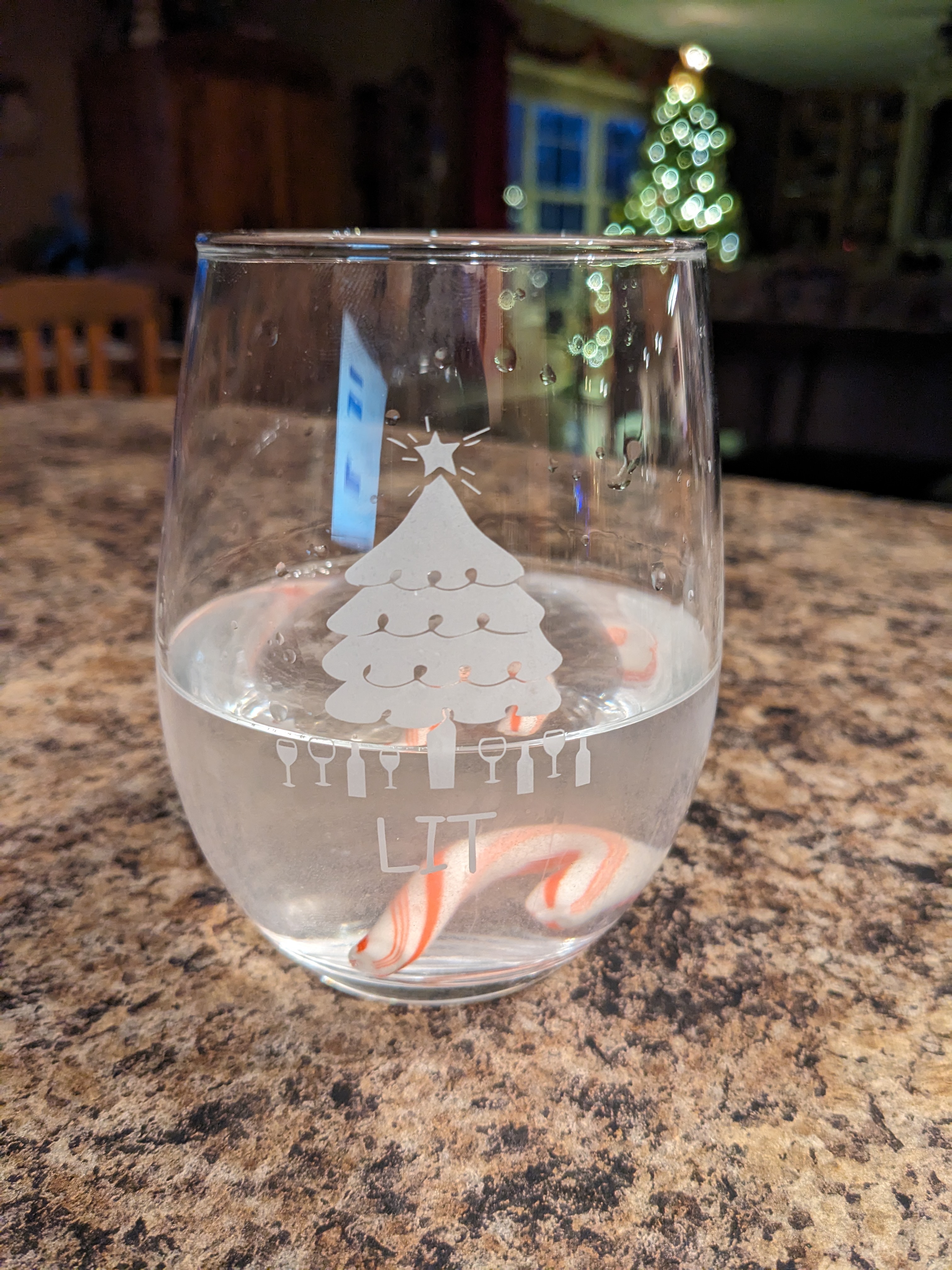 PXL 20231212 230743394