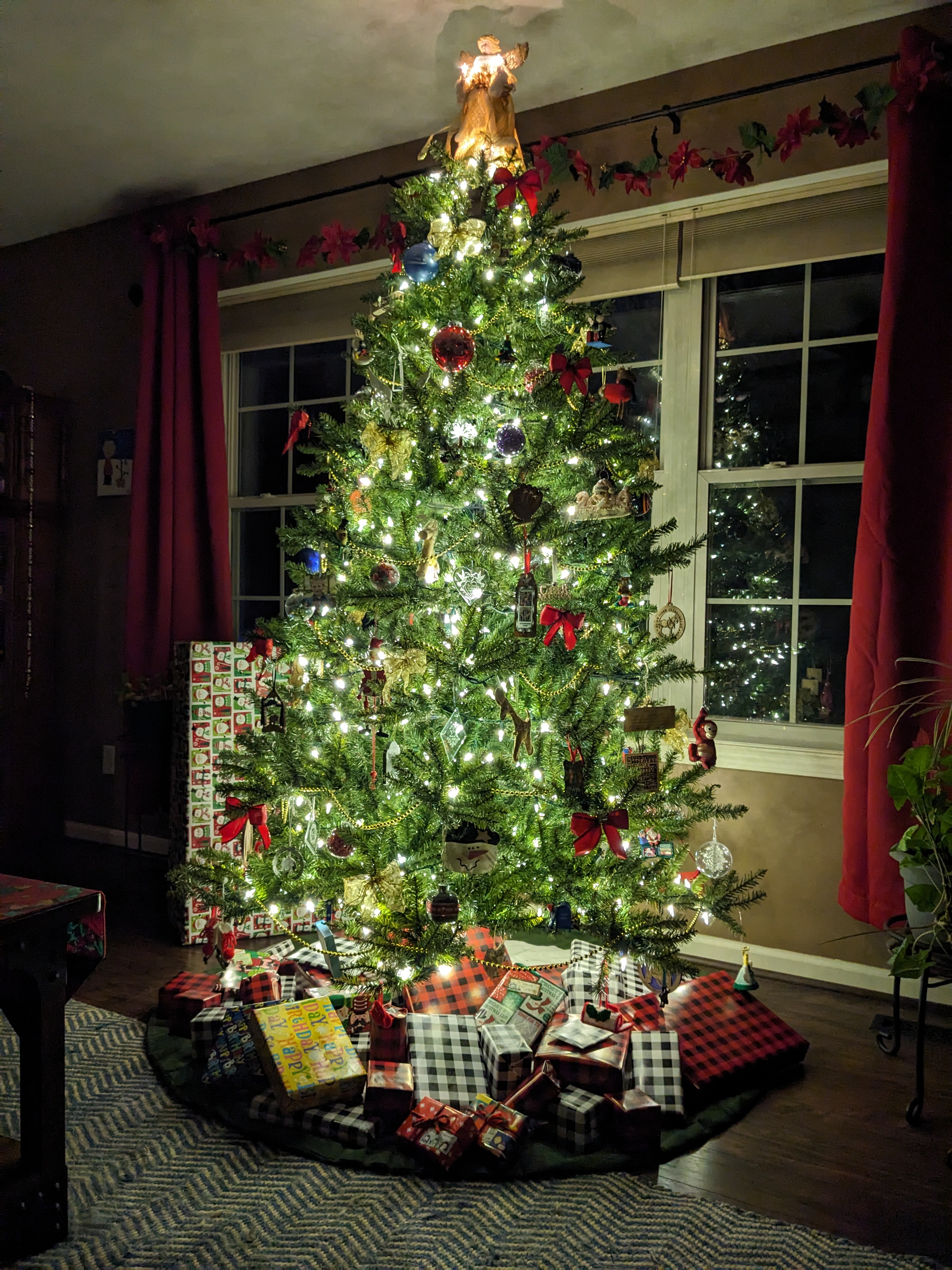 PXL 20231216 032349963