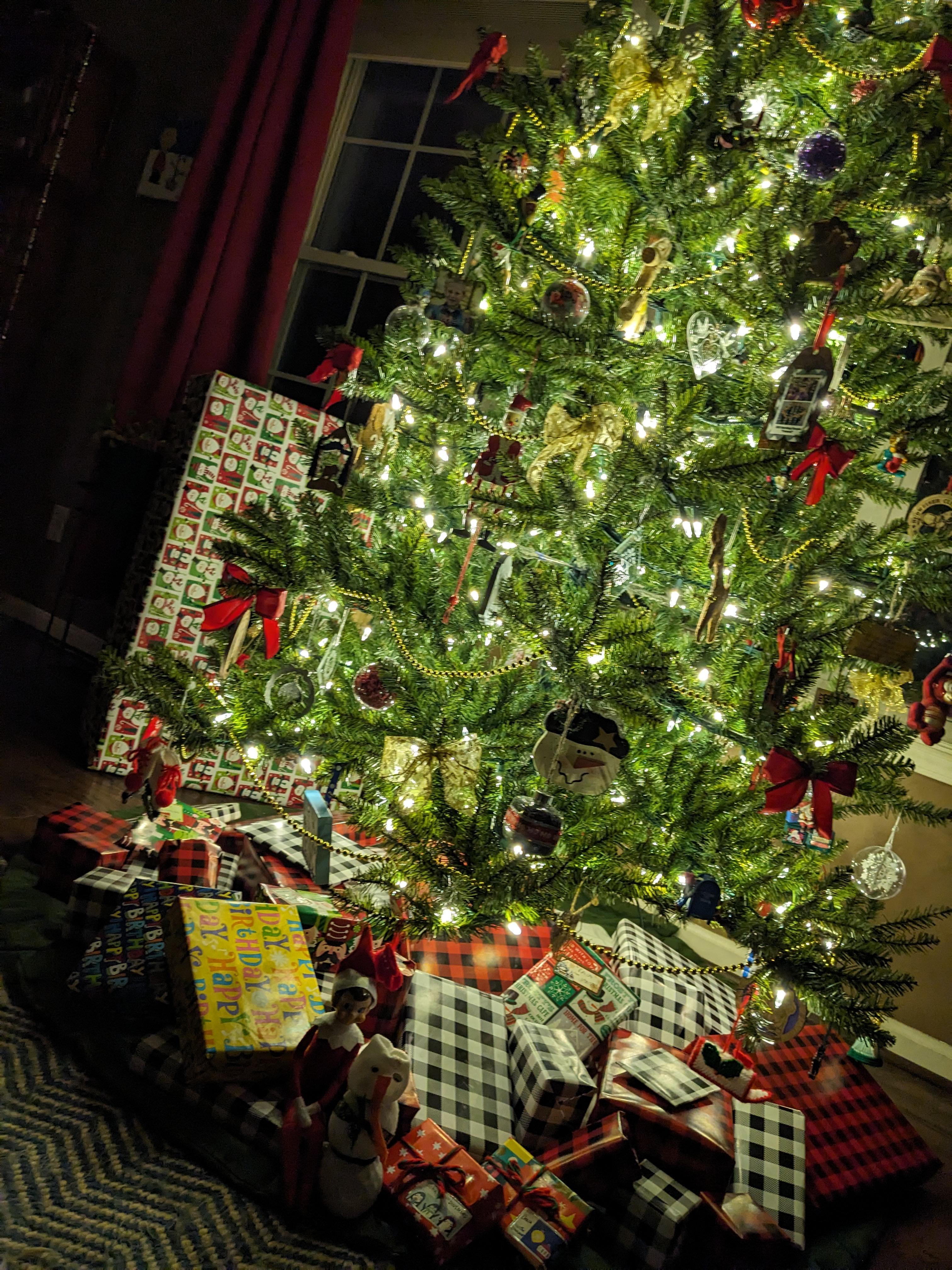 PXL 20231216 032432921