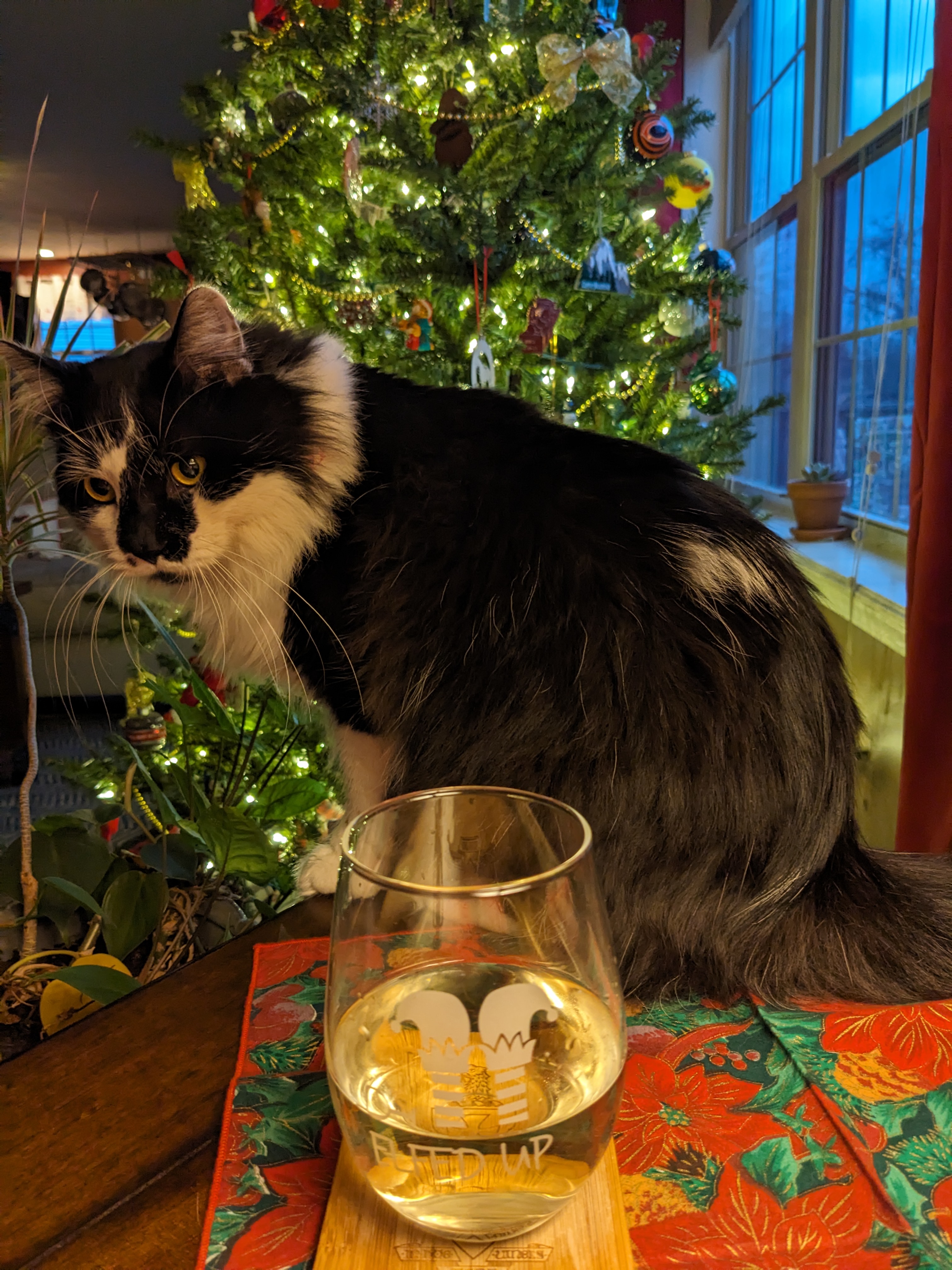 PXL 20231223 225543847