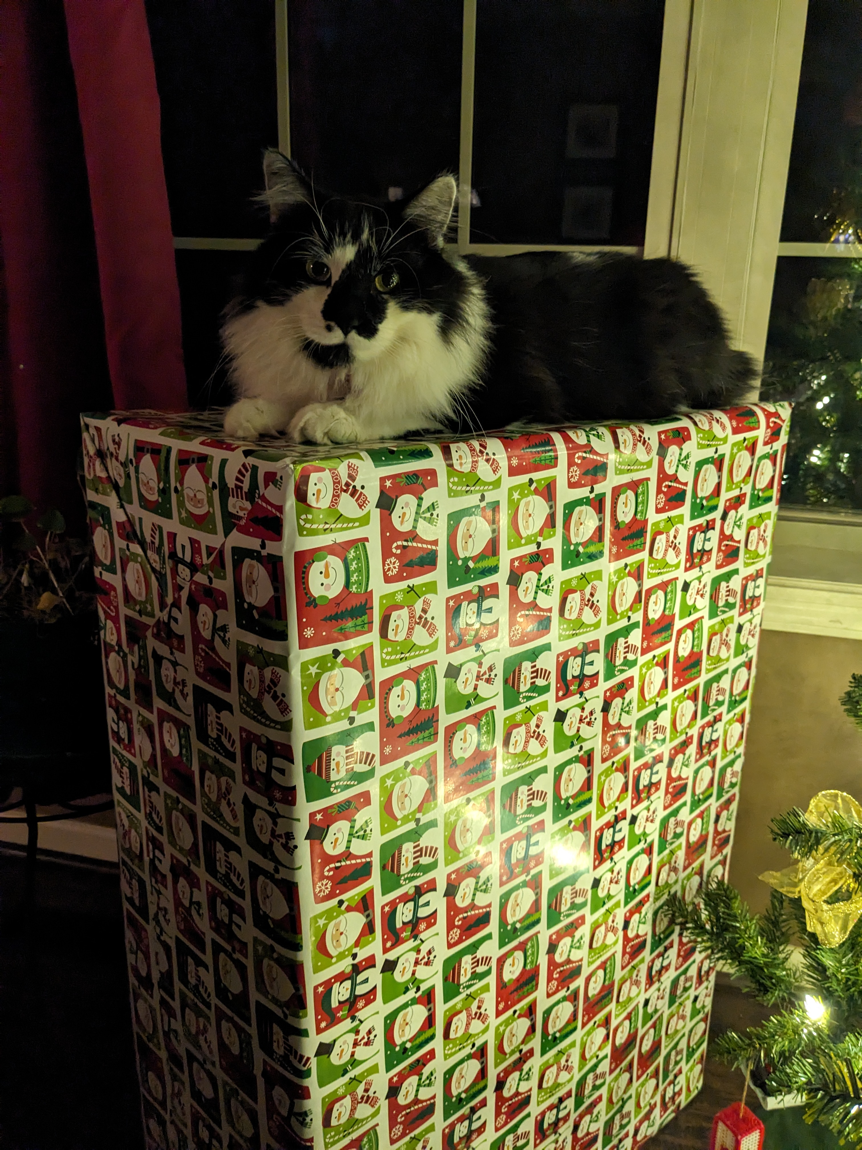 PXL 20231223 234431609