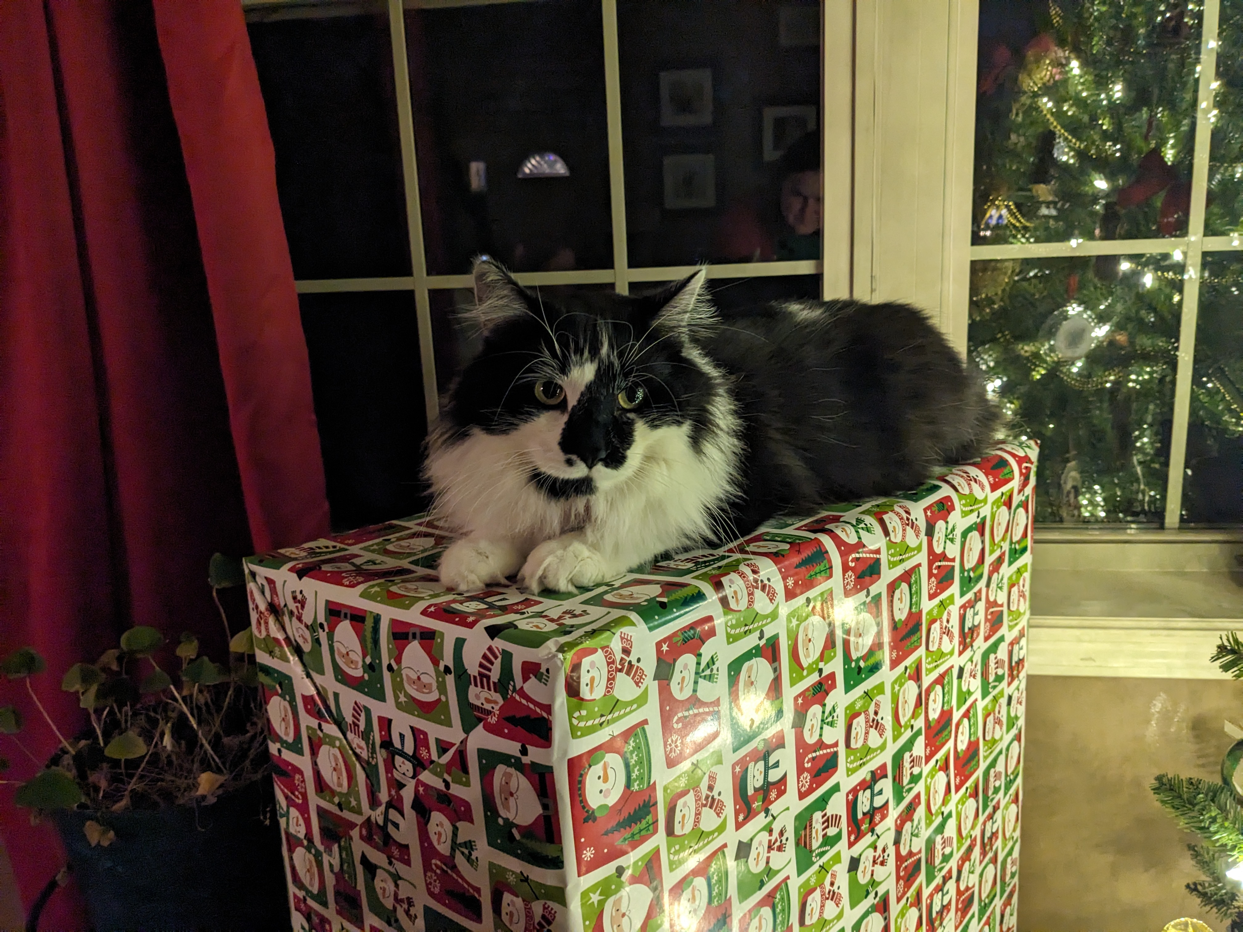 PXL 20231223 234436349